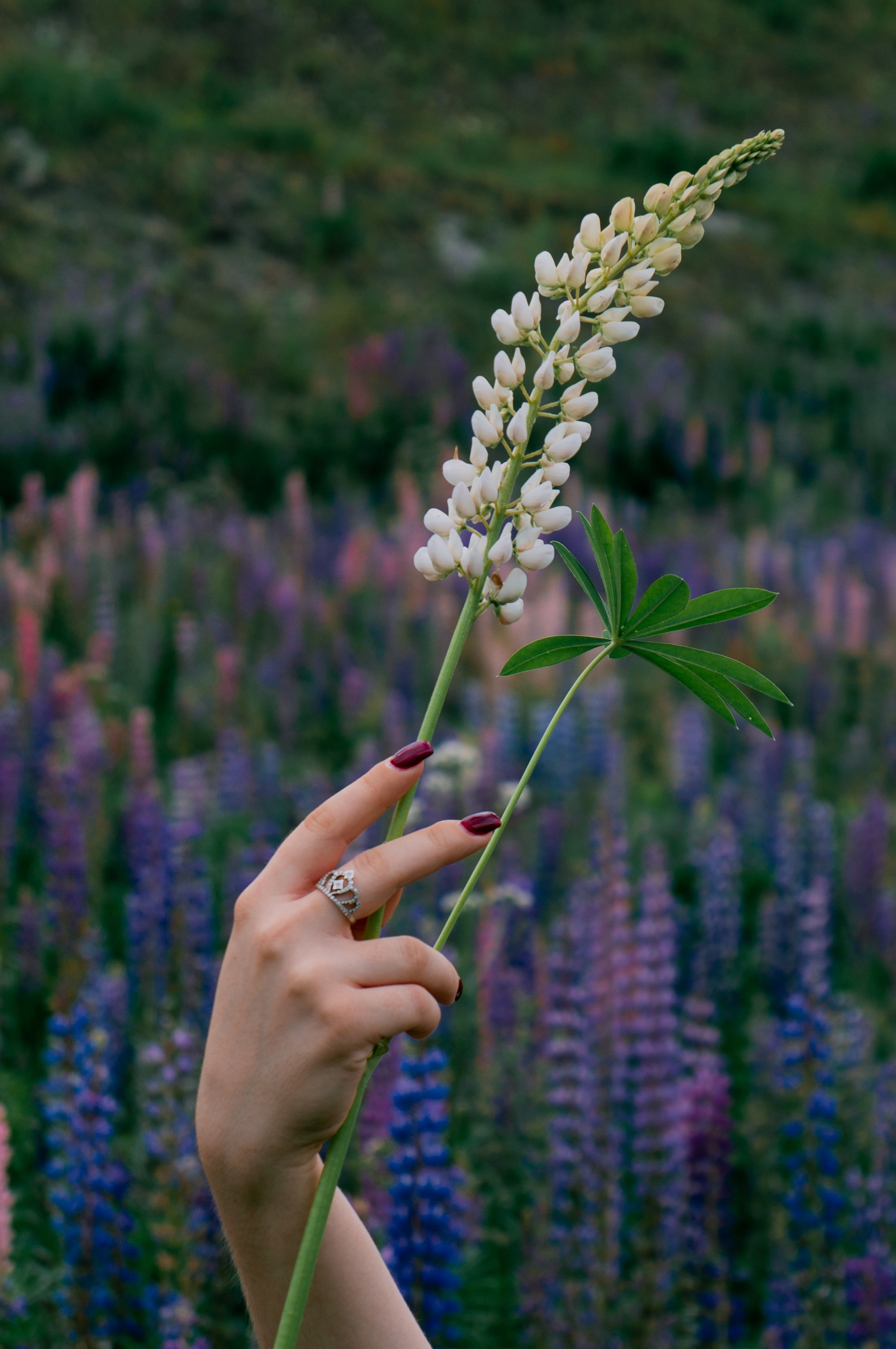 Валерия. Фотограф в Томске Светлана Нестерова