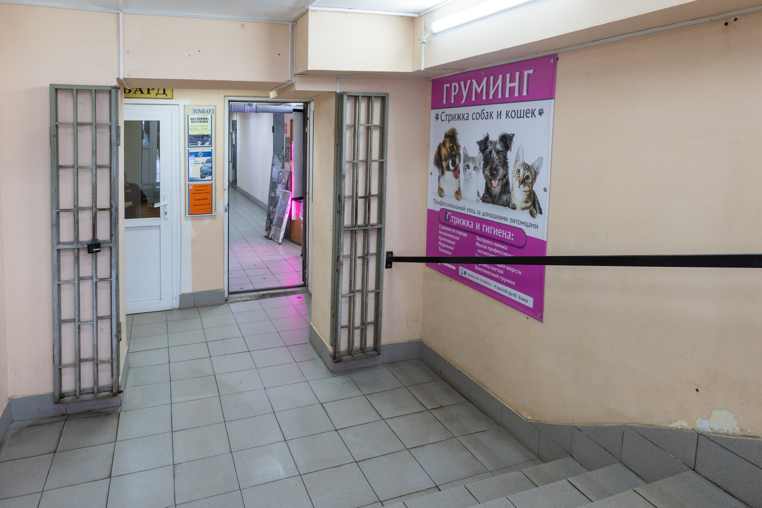 ГРУММИНГ. Фотограф в Туле Крупский АнДРей. Фотостудия «КАДР71» в Туле