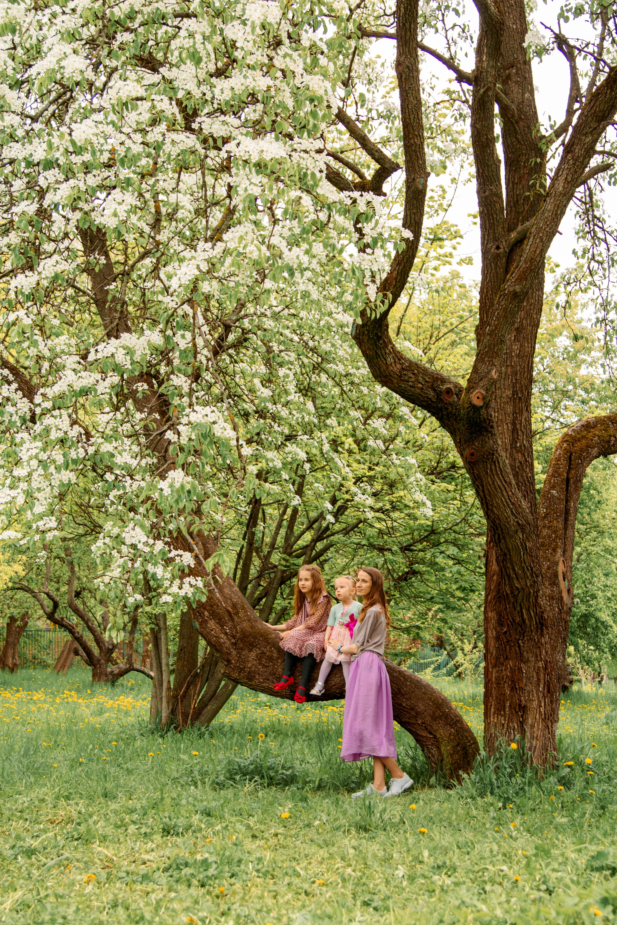 Пленэр. Балетный фотограф в Москве Галина Молчанова