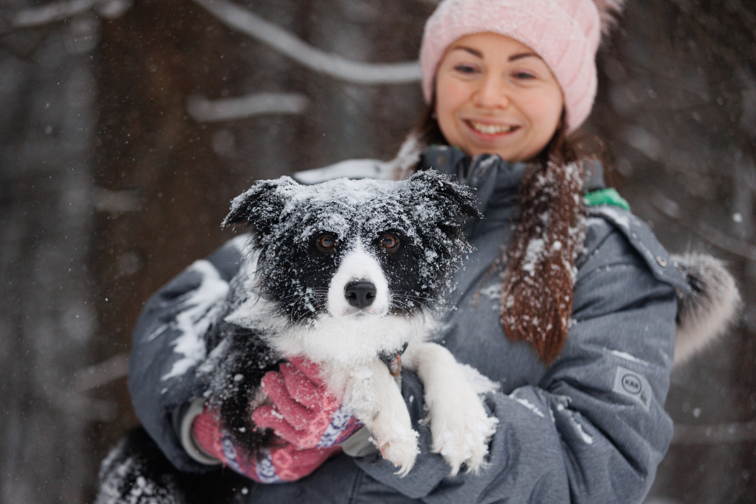 Даша и компания. Фотограф анималист Кристина Карпова, Москва