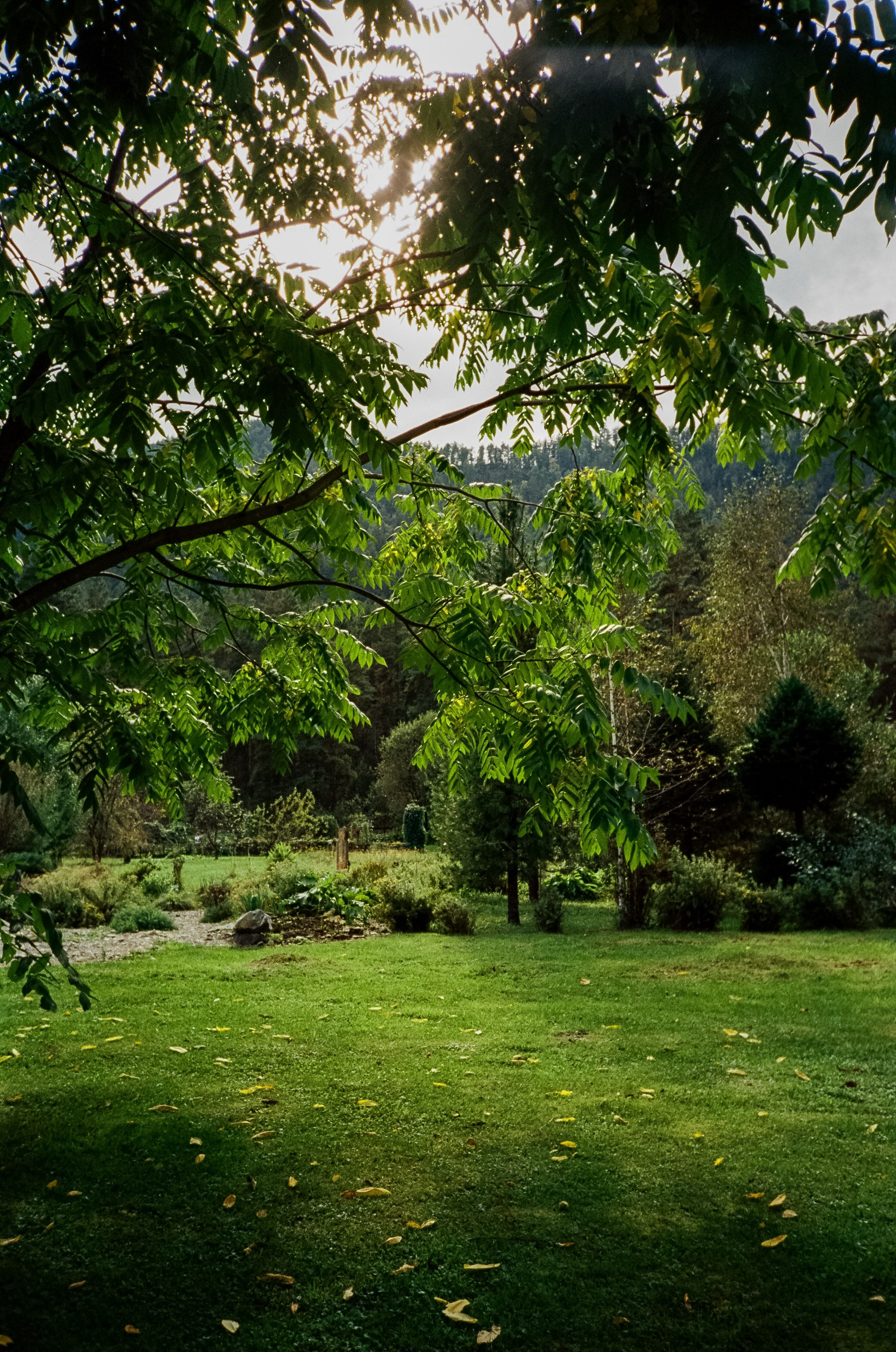 Ботанический сад и река Сема. Фотограф-документалист Мария Осокина