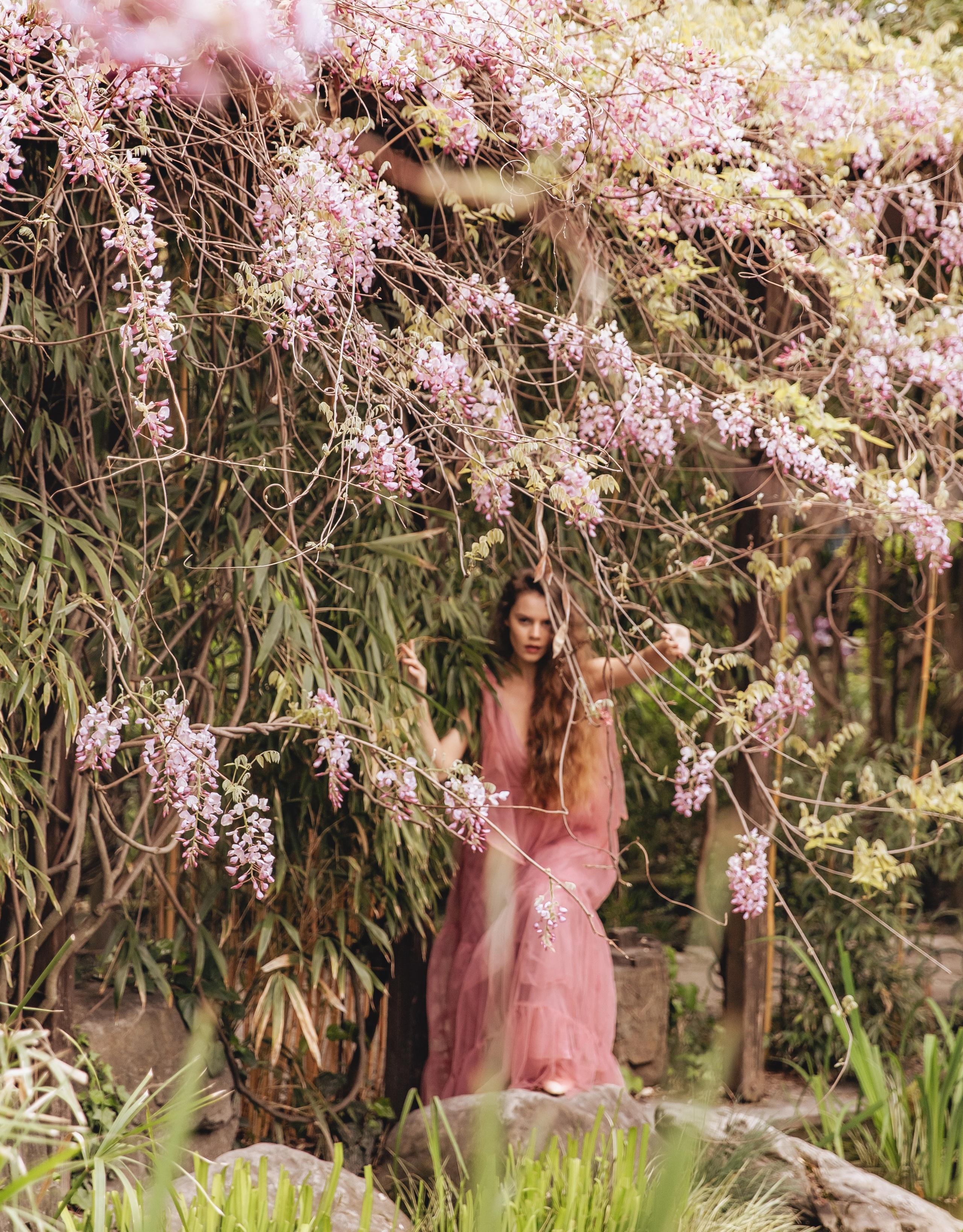 Bloom 25. Diana Chumakova