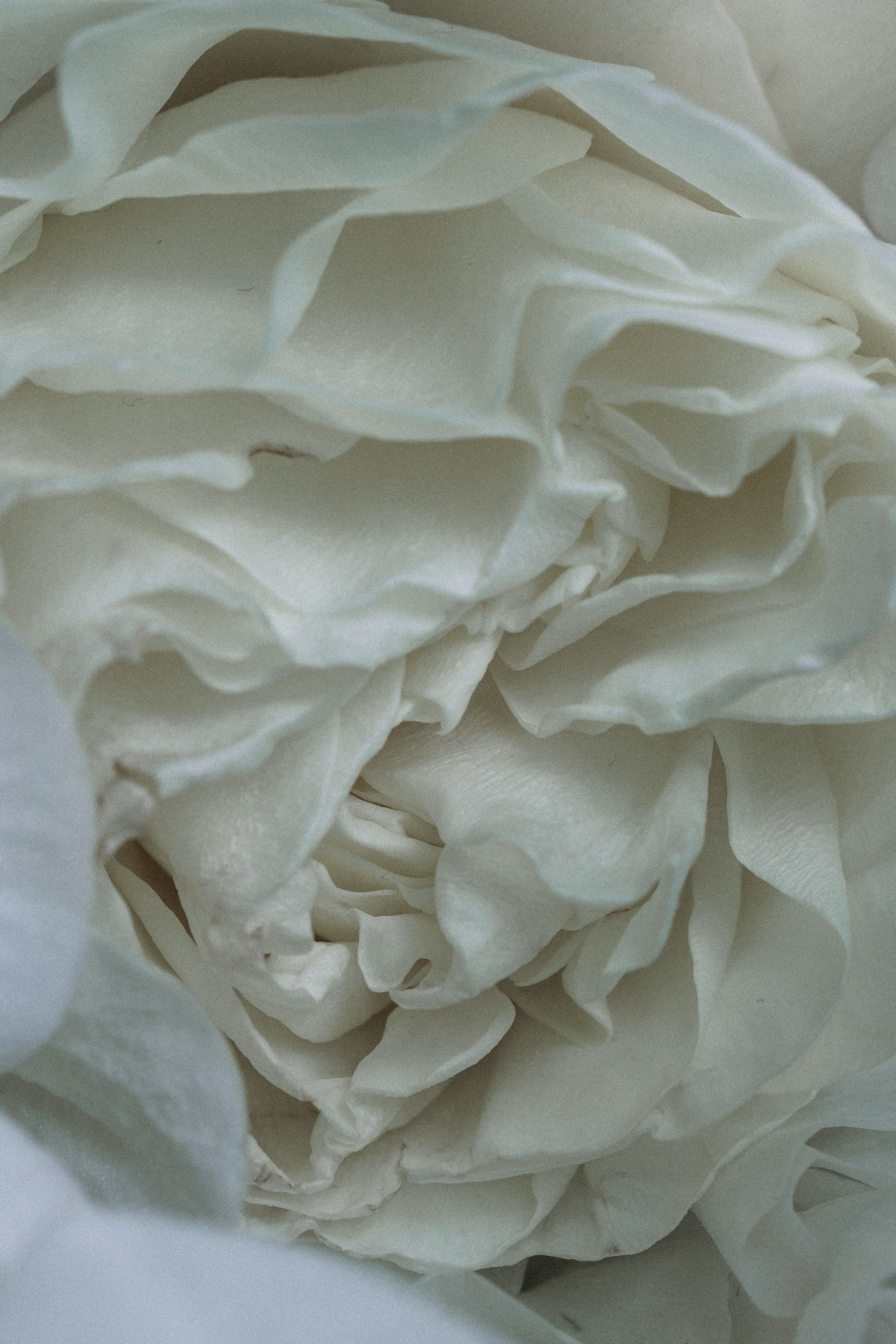 Валерия и Алексей. Lifestyle фотограф в Санкт-Петербурге Анна Щекалева