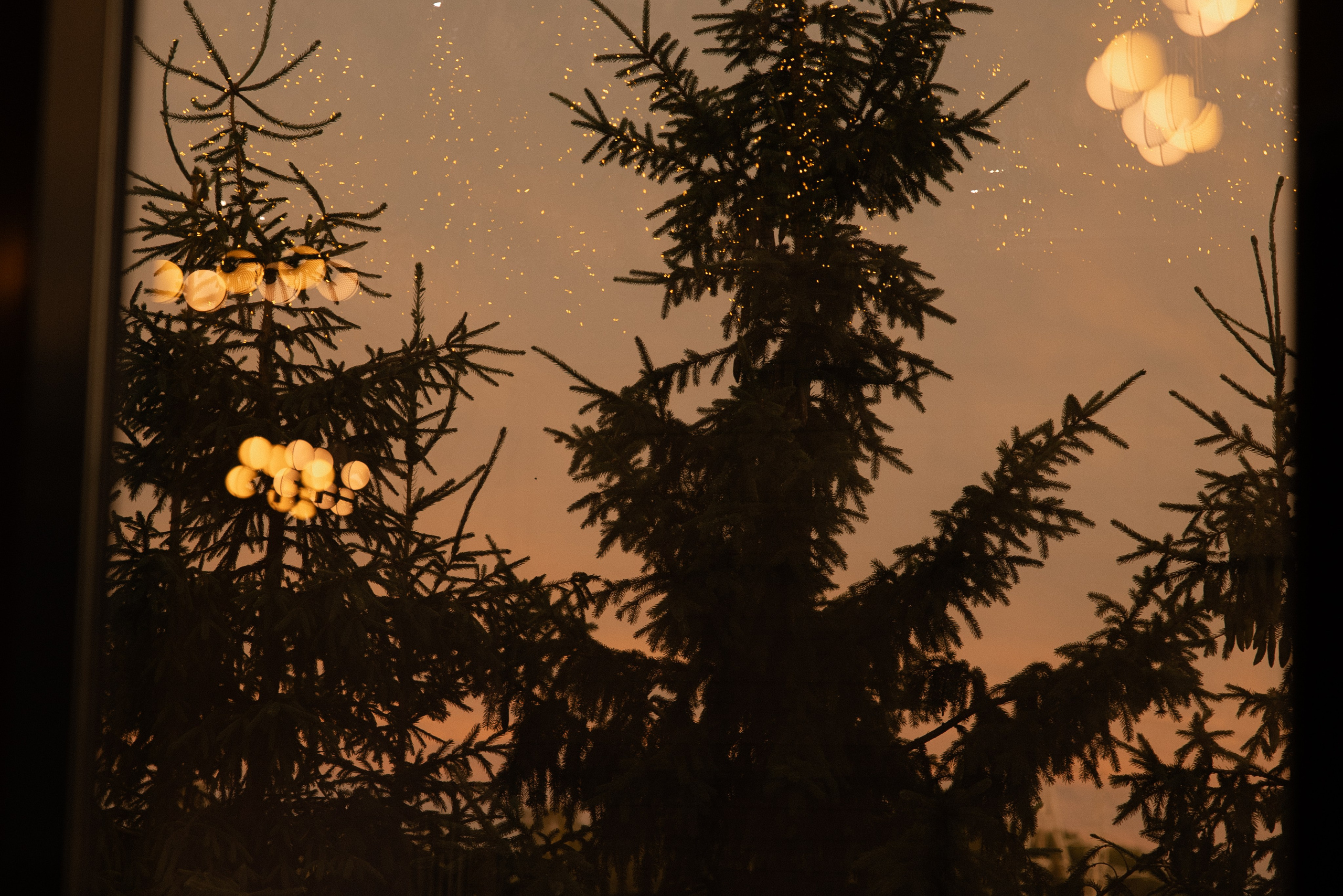 Wedding. Главная