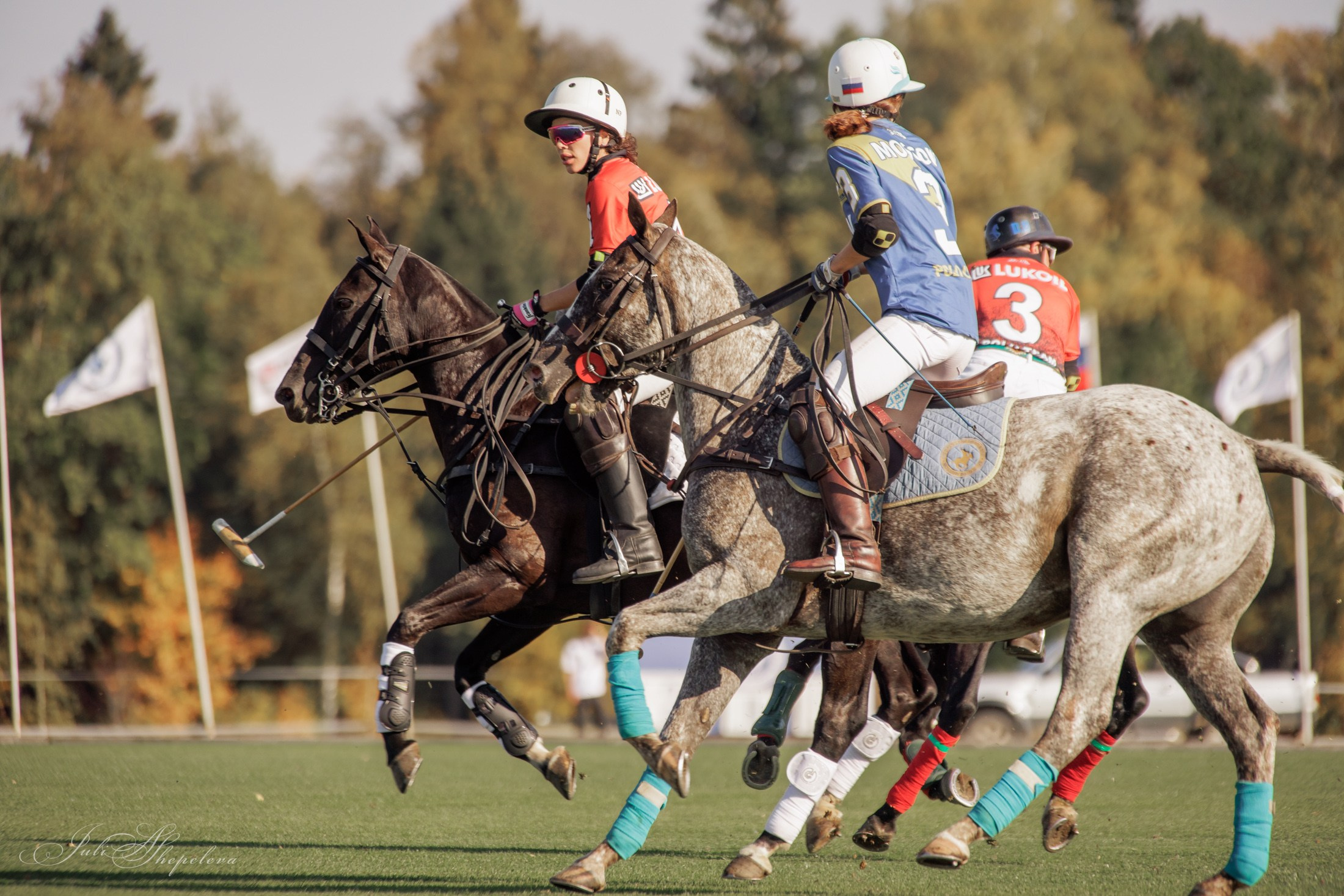 Осенний кубок по конному поло. Детская Конная фотография в Москве Юлия Шепелева
