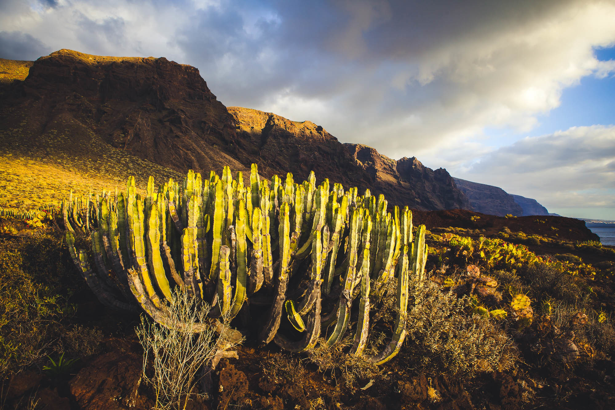 Тенерифе. Фотограф Дмитрий Питерский