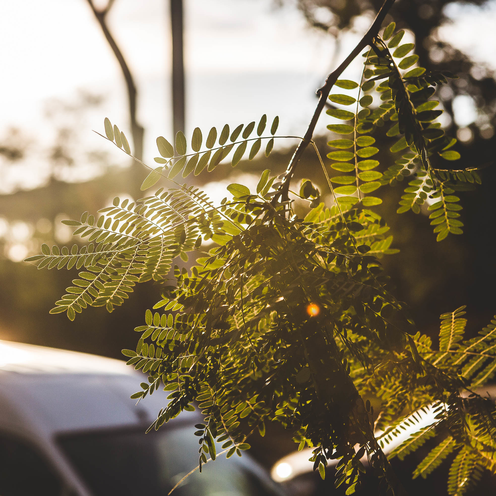 Рим. Фотограф Дмитрий Питерский