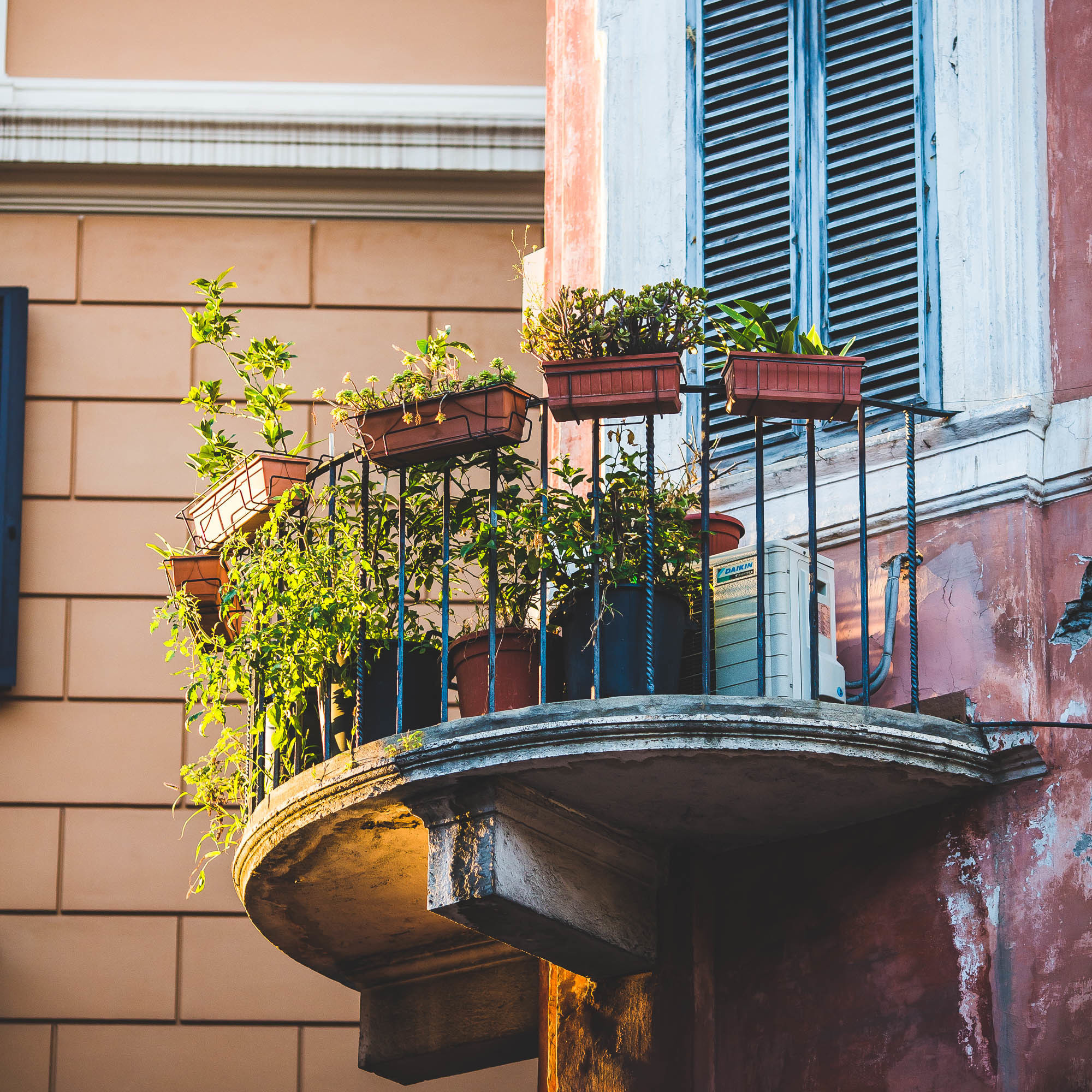 Рим. Фотограф Дмитрий Питерский