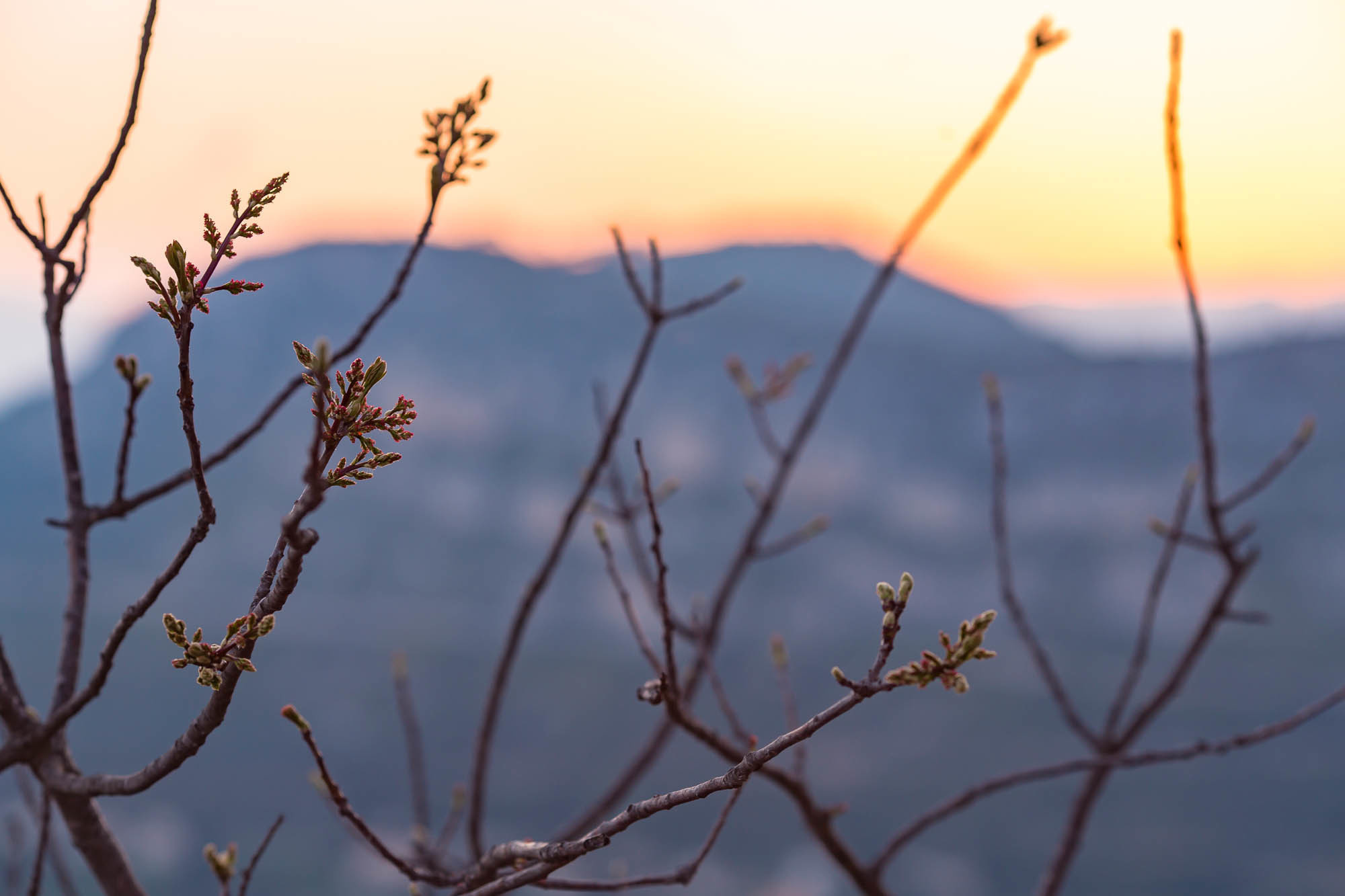 Монако. Фотограф Дмитрий Питерский