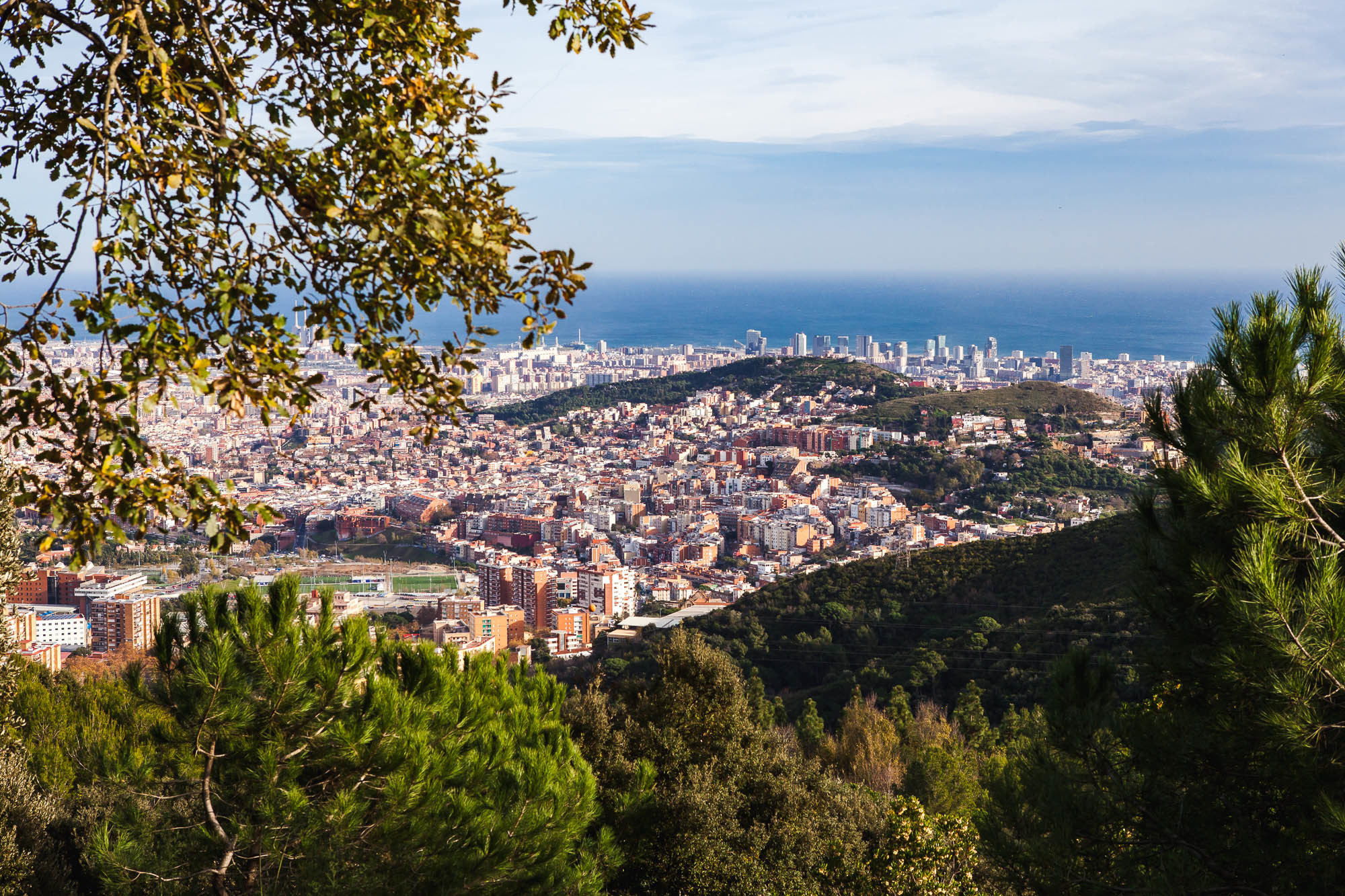 Барселона. Фотограф Дмитрий Питерский