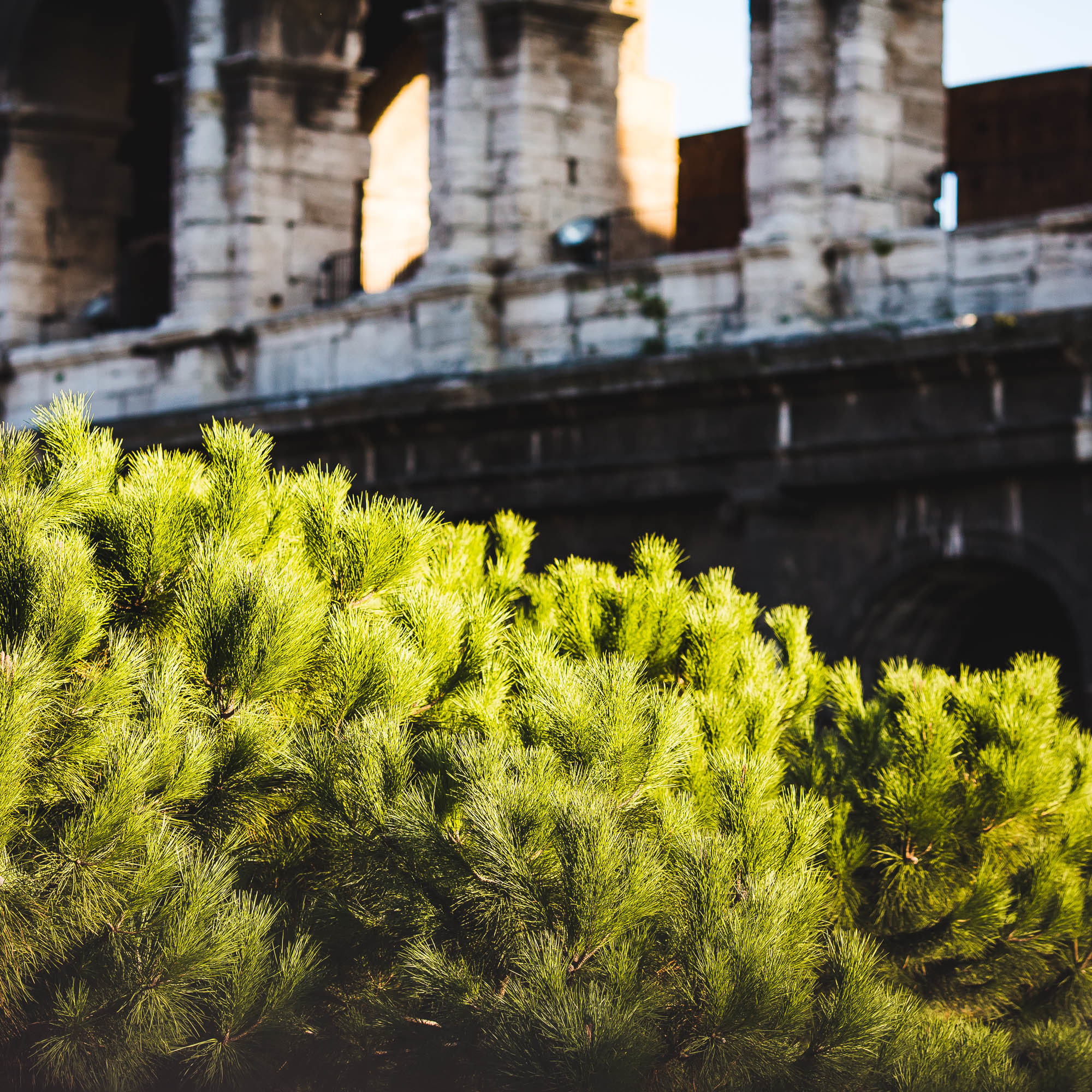 Рим. Фотограф Дмитрий Питерский