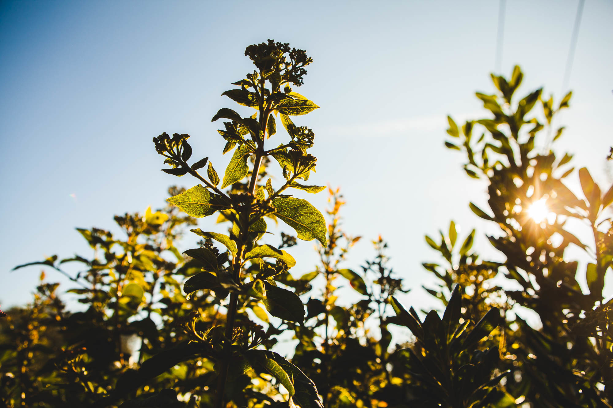 Барселона. Фотограф Дмитрий Питерский