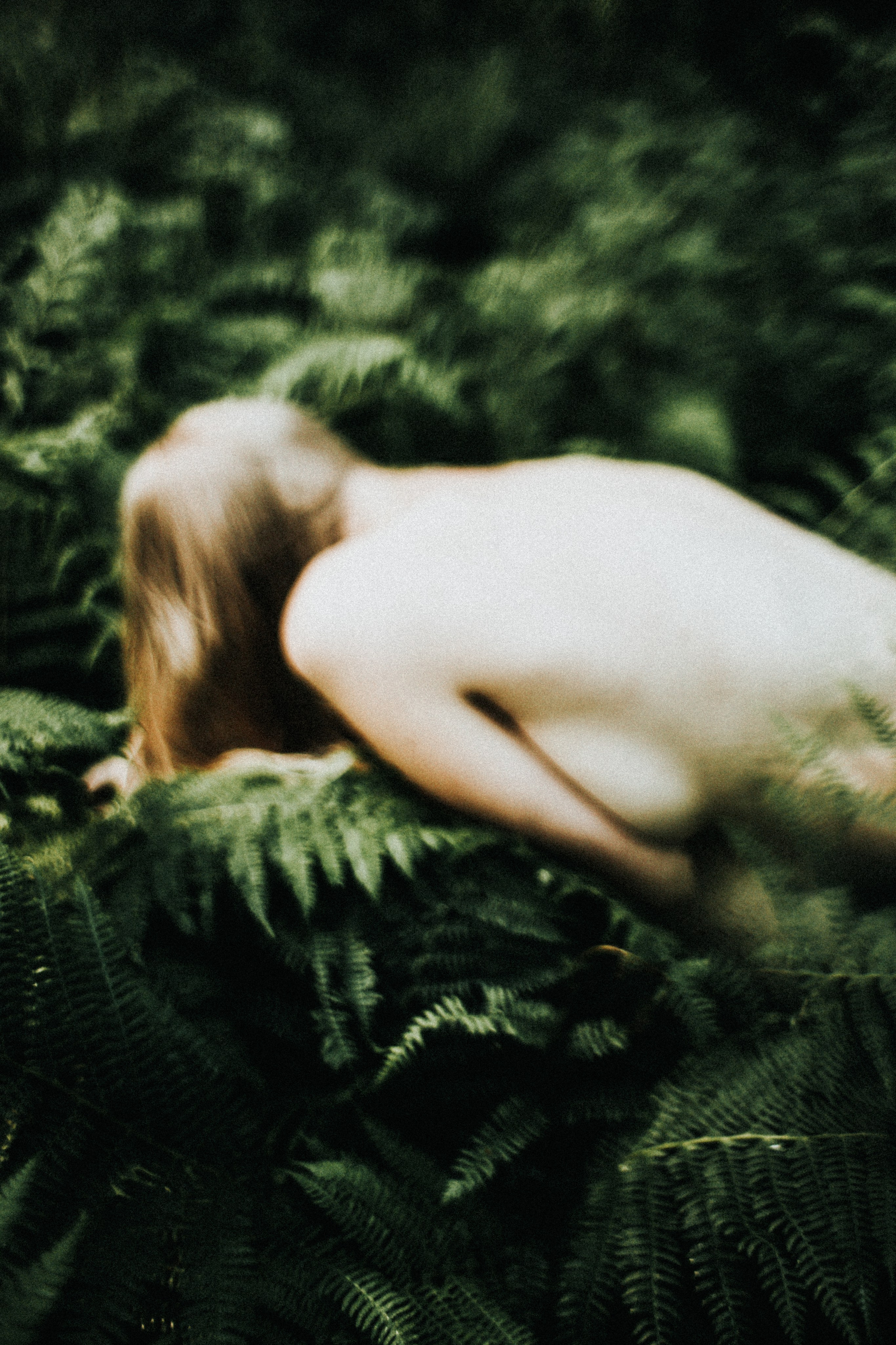 Ирина. Папоротник. Фотограф в Нижнем Новгороде