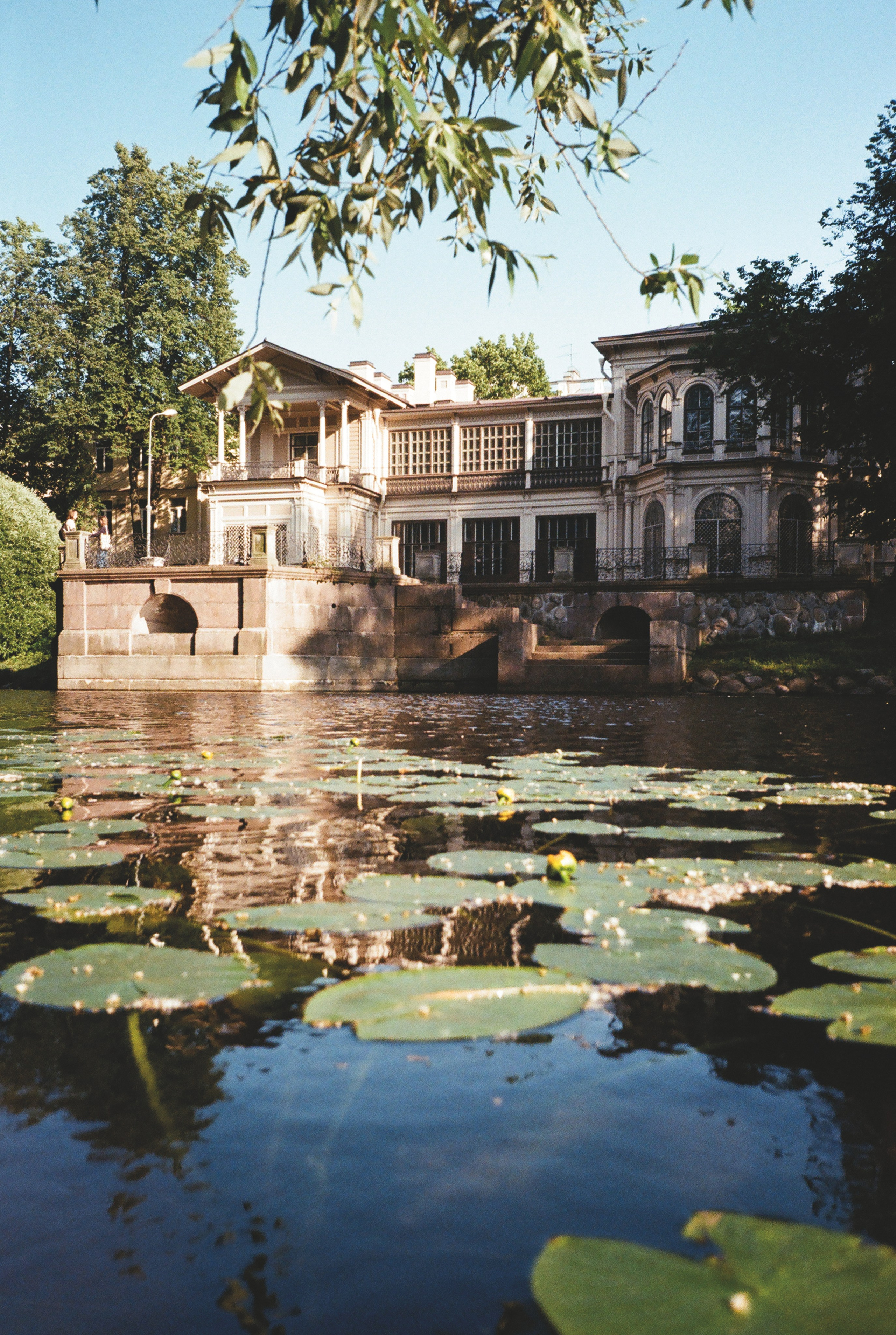 Фотографии цветные. Свадебный и семейный пленочный фотограф в Петербурге Истомина Ирина