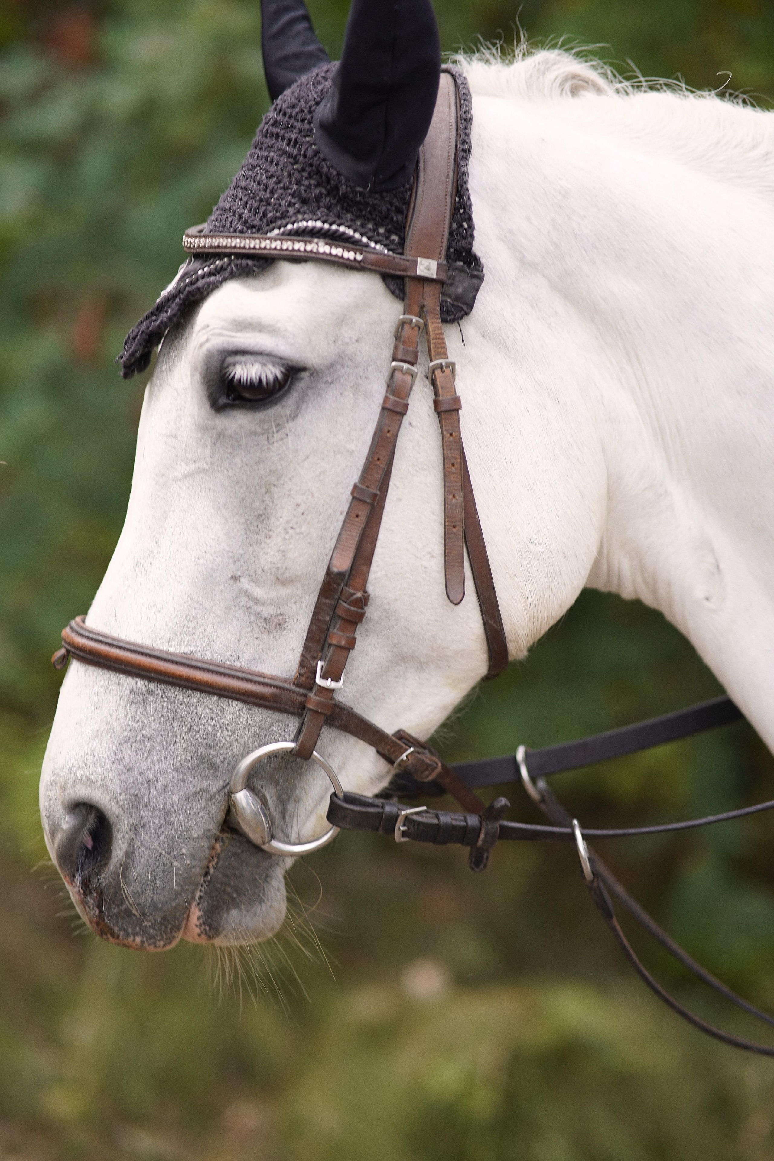 Екатеринбург (Шарташ). Свадебный фотограф Наталья Помазкина | Репортаж Екатеринбург Москва