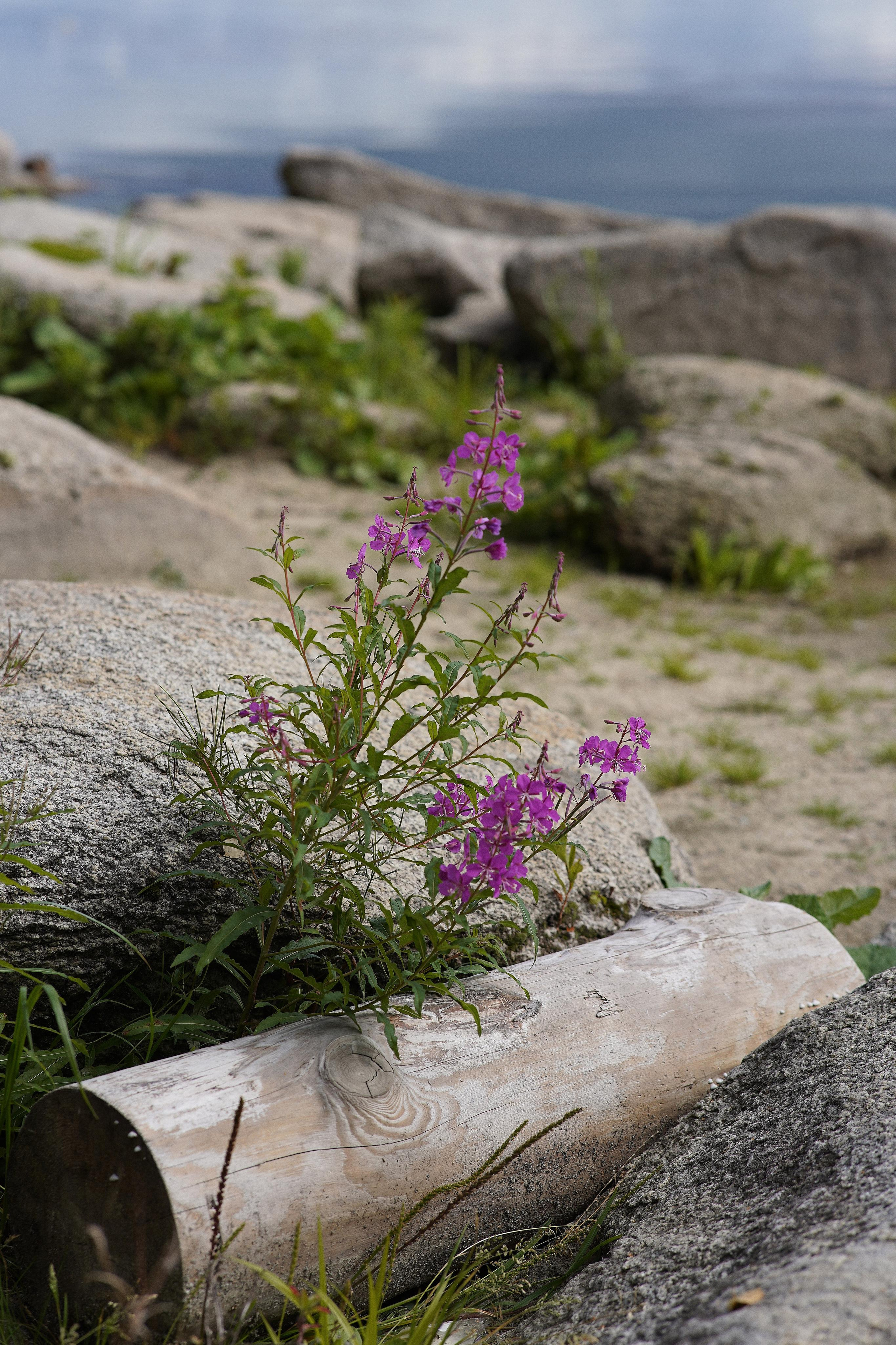 Екатеринбург (Шарташ). Свадебный фотограф Наталья Помазкина | Репортаж Екатеринбург Москва