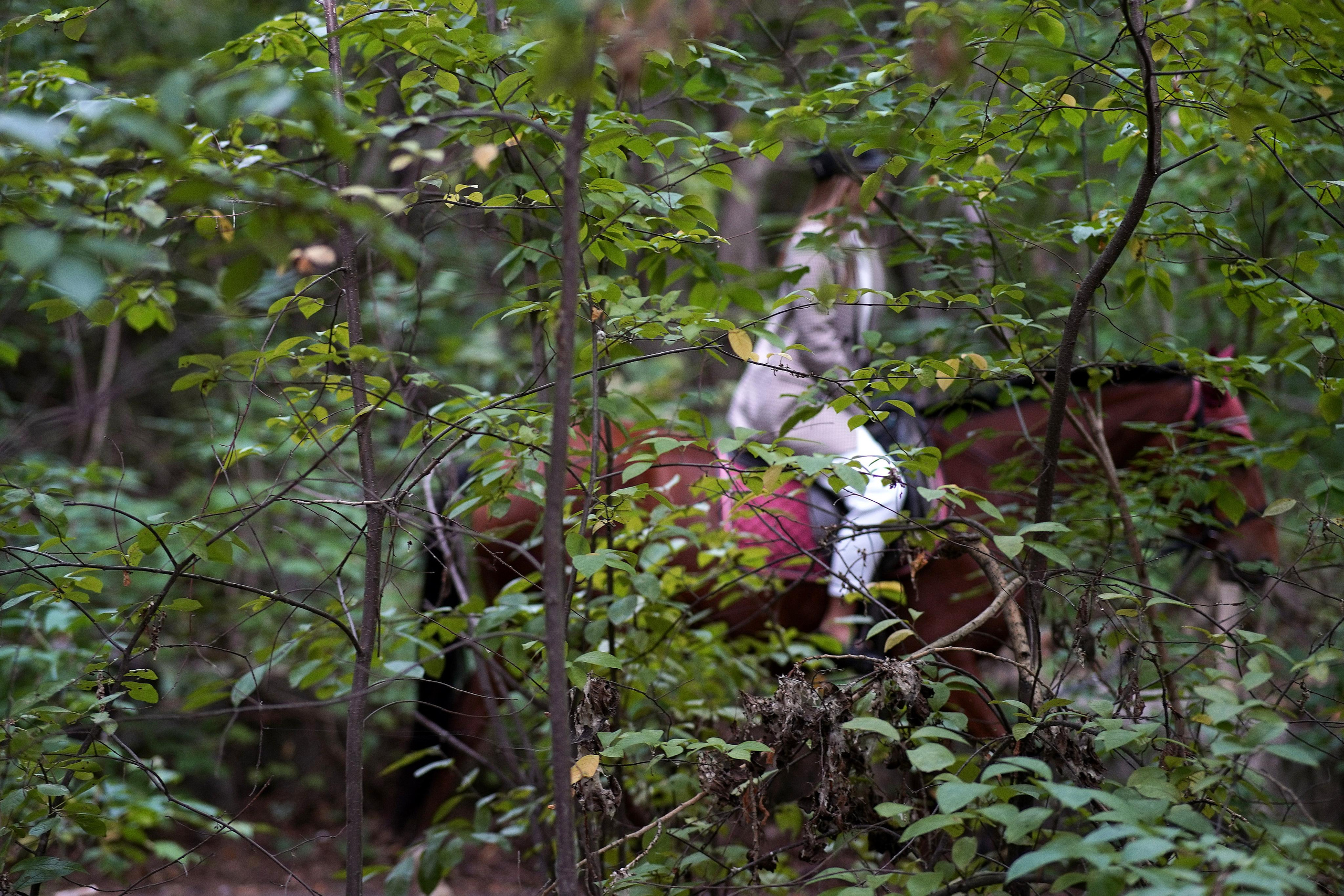 Екатеринбург (Шарташ). Свадебный фотограф Наталья Помазкина | Репортаж Екатеринбург Москва