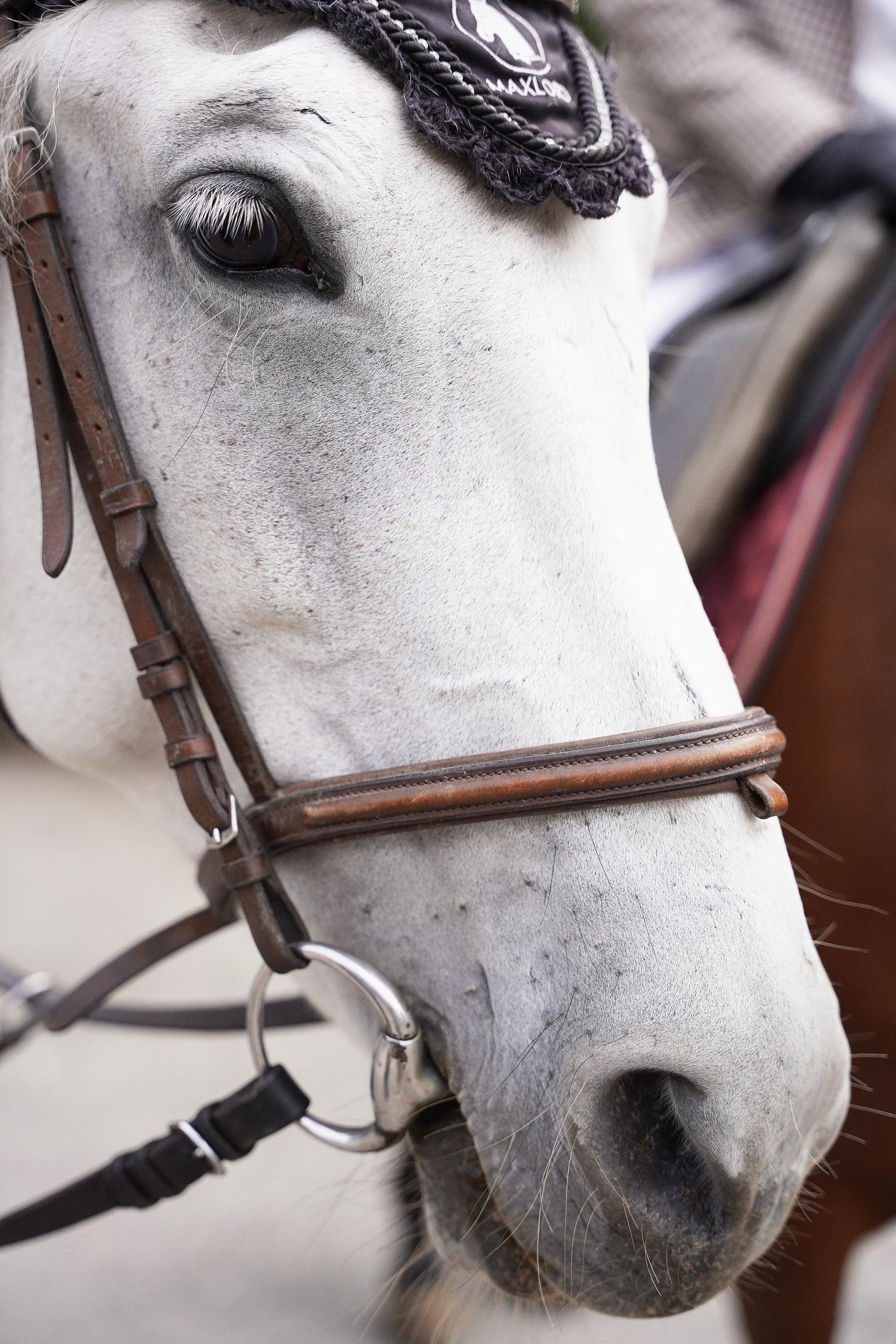 Екатеринбург (Шарташ). Свадебный фотограф Наталья Помазкина | Репортаж Екатеринбург Москва