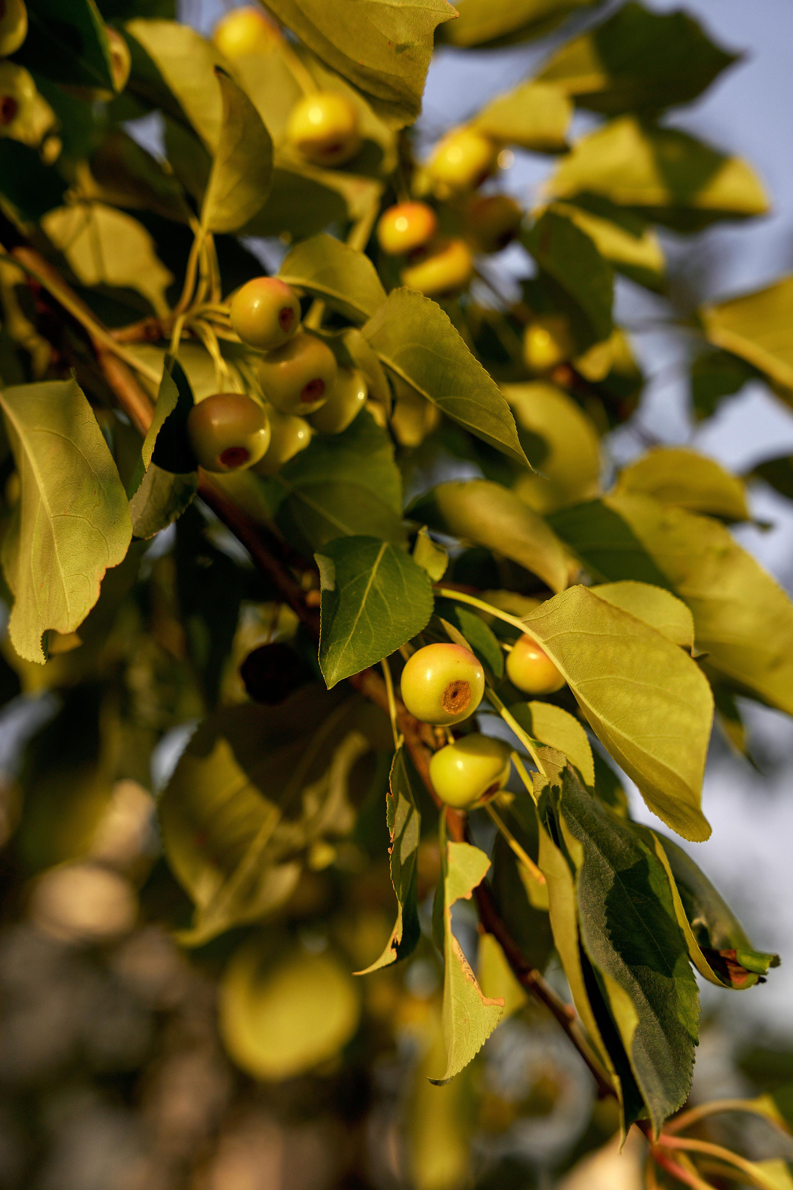 ПРОГУЛКА С МАЛЫШОМ. Свадебный фотограф Наталья Помазкина | Репортаж Екатеринбург Москва