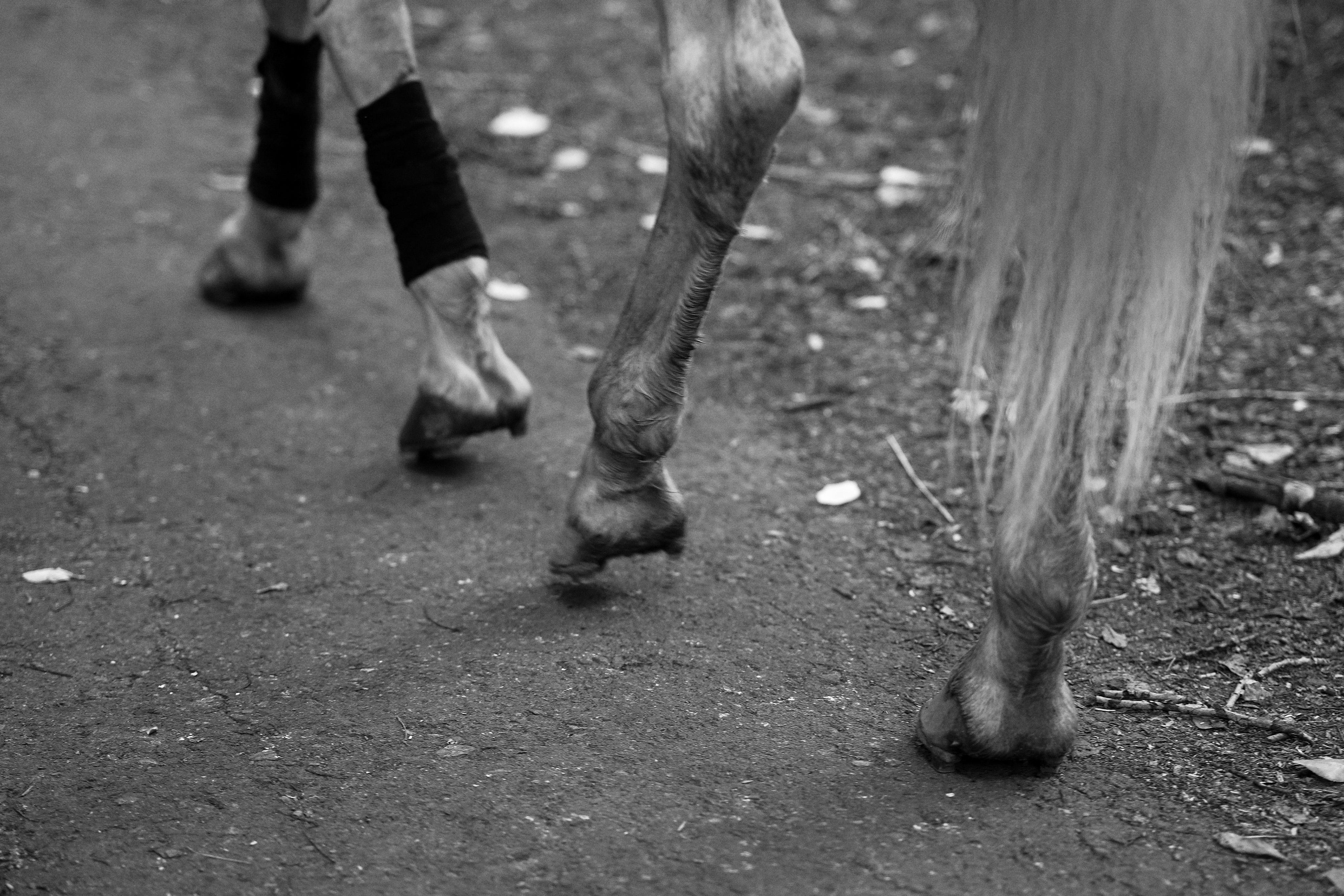 Екатеринбург (Шарташ). Свадебный фотограф Наталья Помазкина | Репортаж Екатеринбург Москва