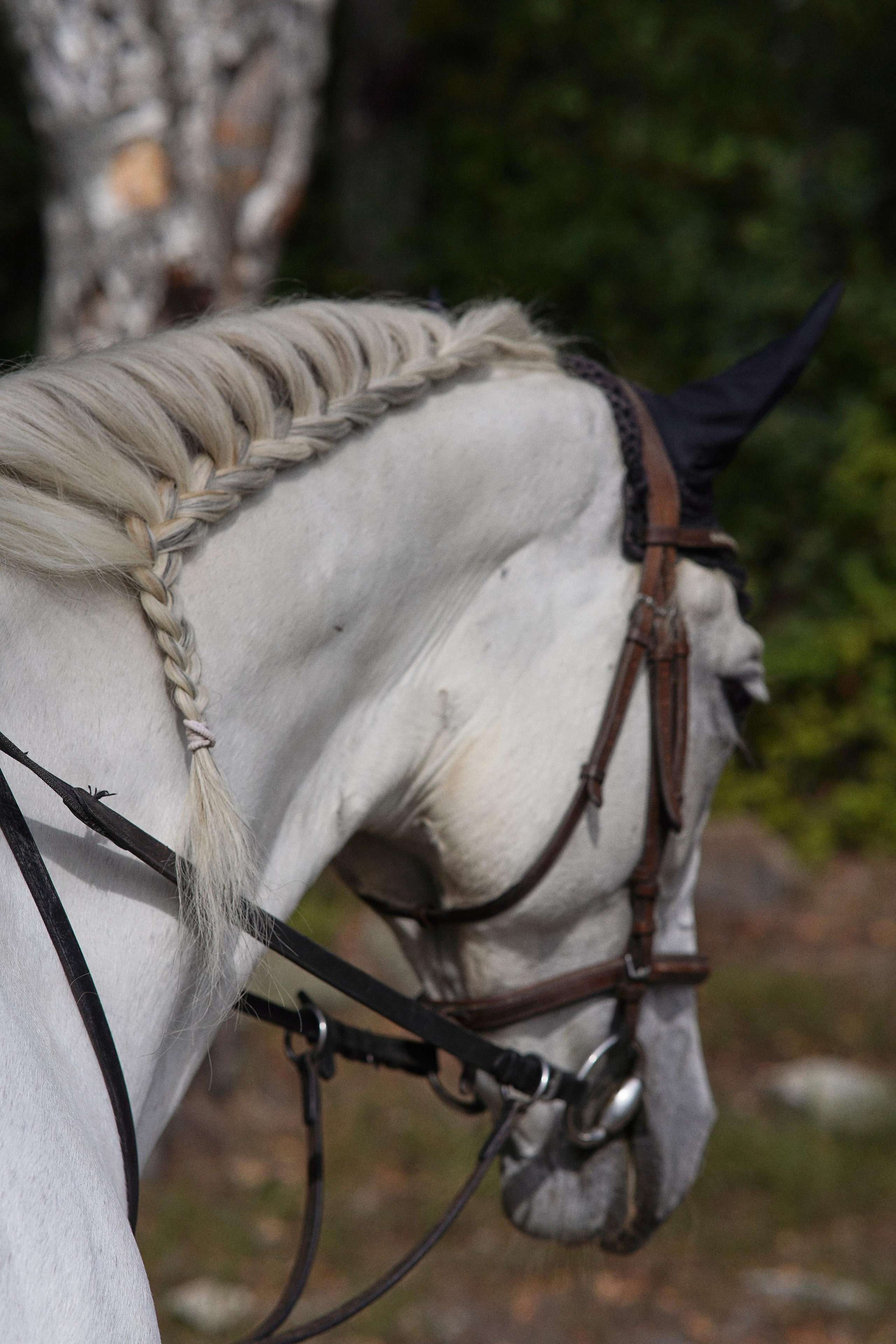 Екатеринбург (Шарташ). Свадебный фотограф Наталья Помазкина | Репортаж Екатеринбург Москва