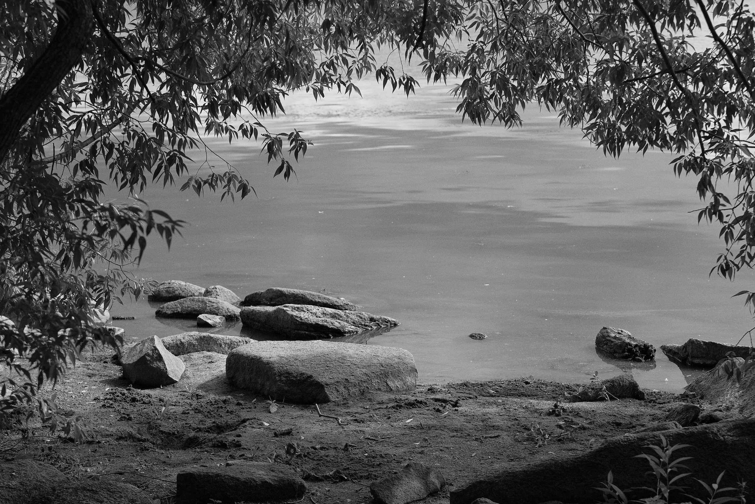 Екатеринбург (Шарташ). Свадебный фотограф Наталья Помазкина | Репортаж Екатеринбург Москва