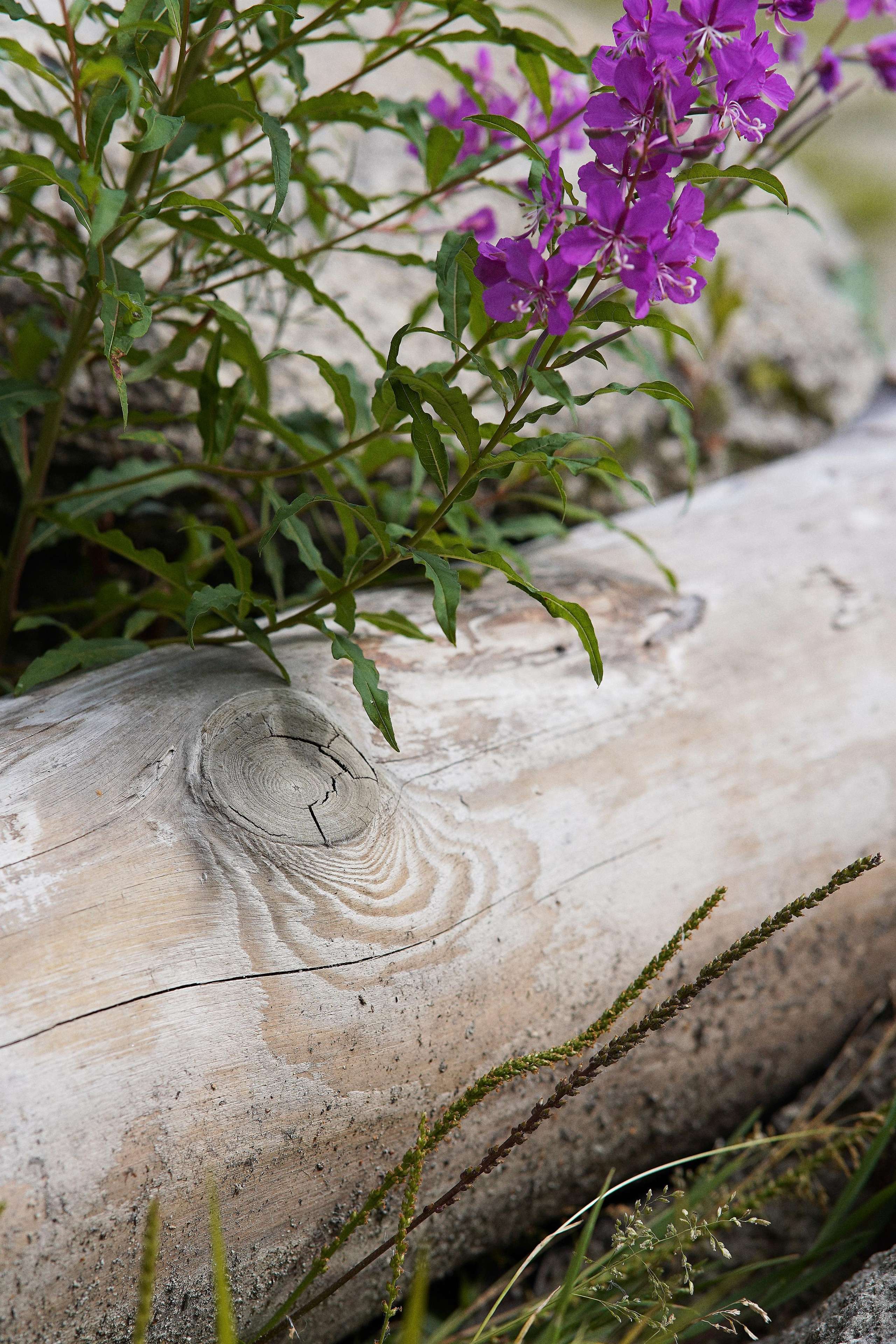 Екатеринбург (Шарташ). Свадебный фотограф Наталья Помазкина | Репортаж Екатеринбург Москва