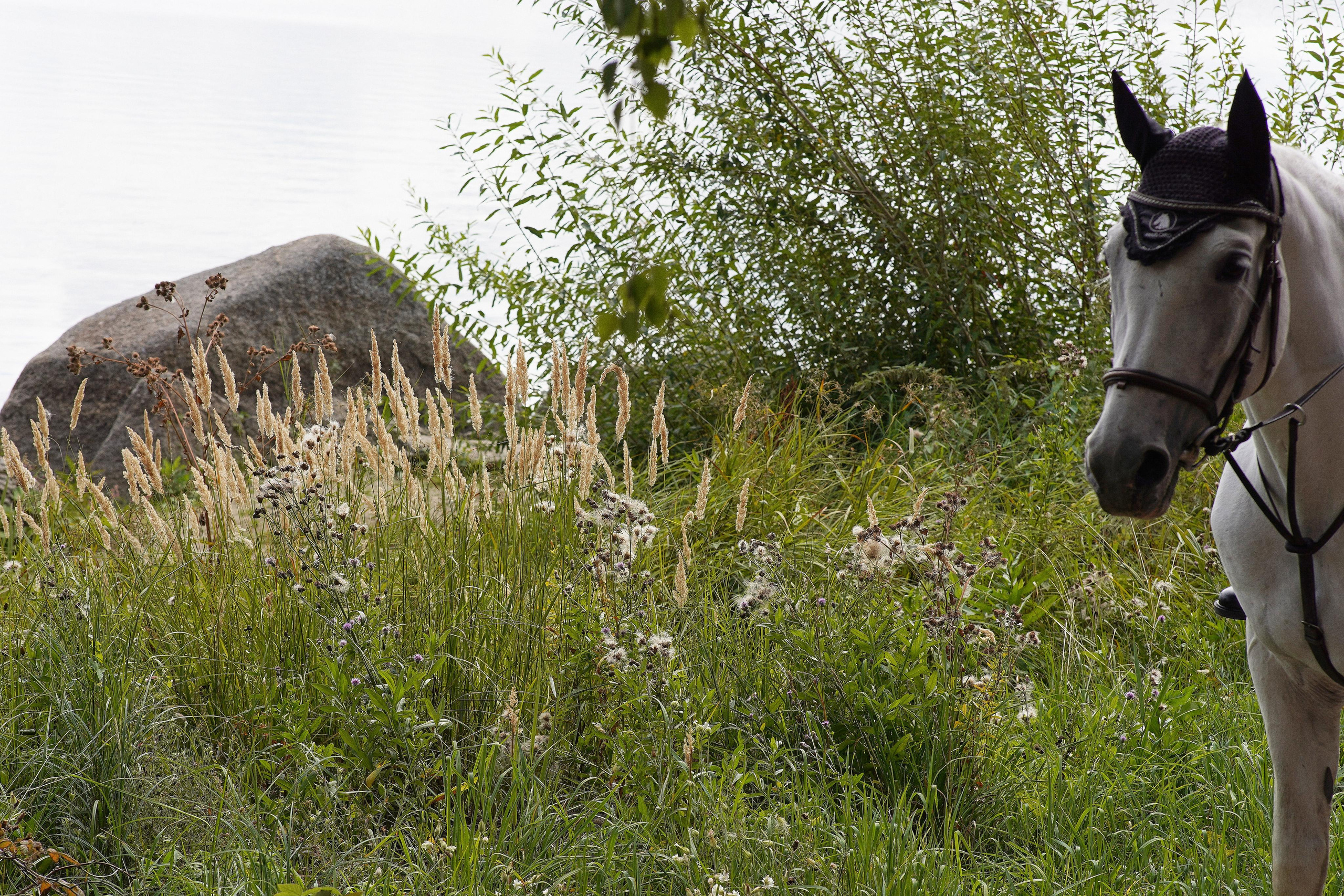 Екатеринбург (Шарташ). Свадебный фотограф Наталья Помазкина | Репортаж Екатеринбург Москва