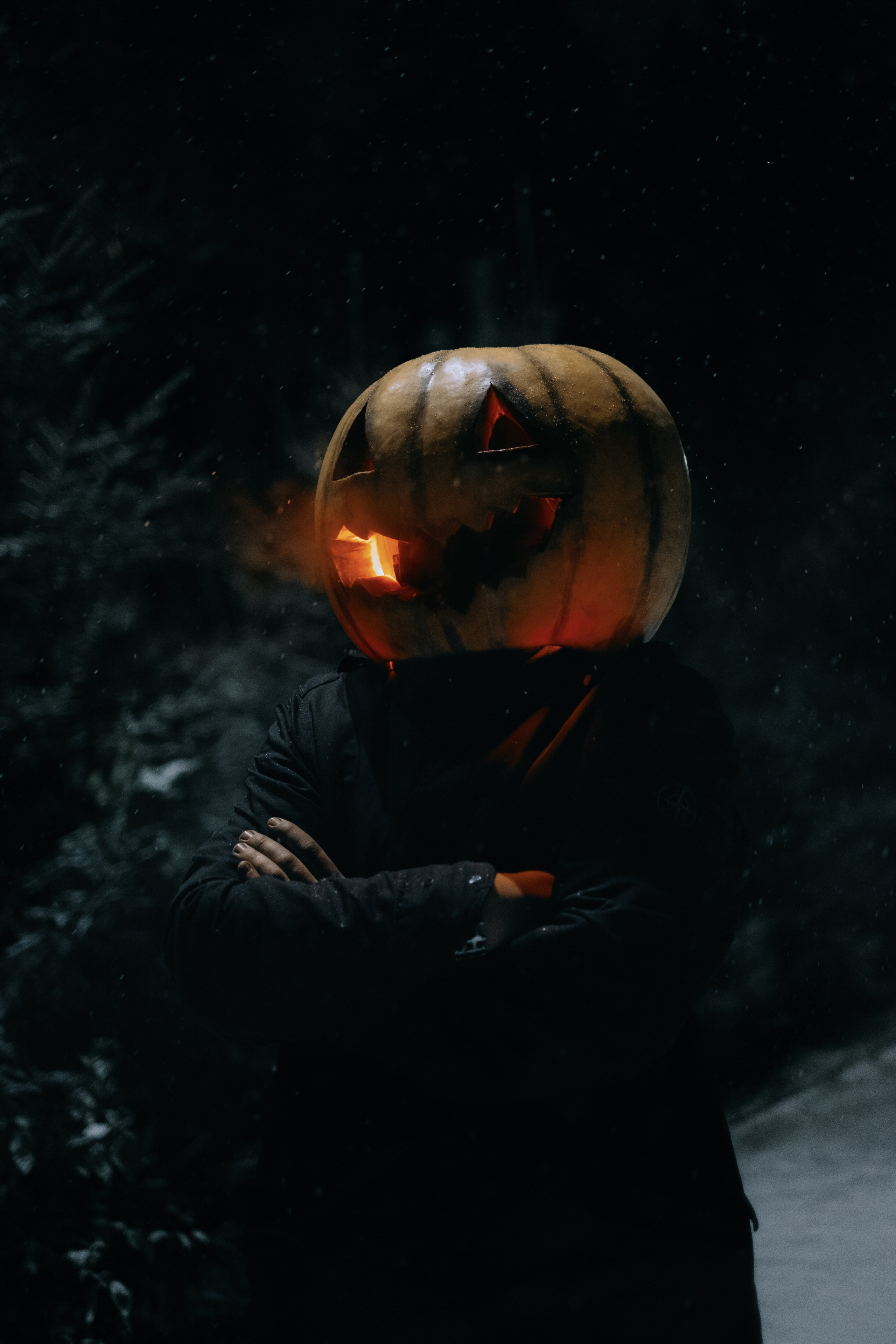 «Избранник тыквенной грядки». Фотограф (Москва, Мытищи)— Комова Анастасия