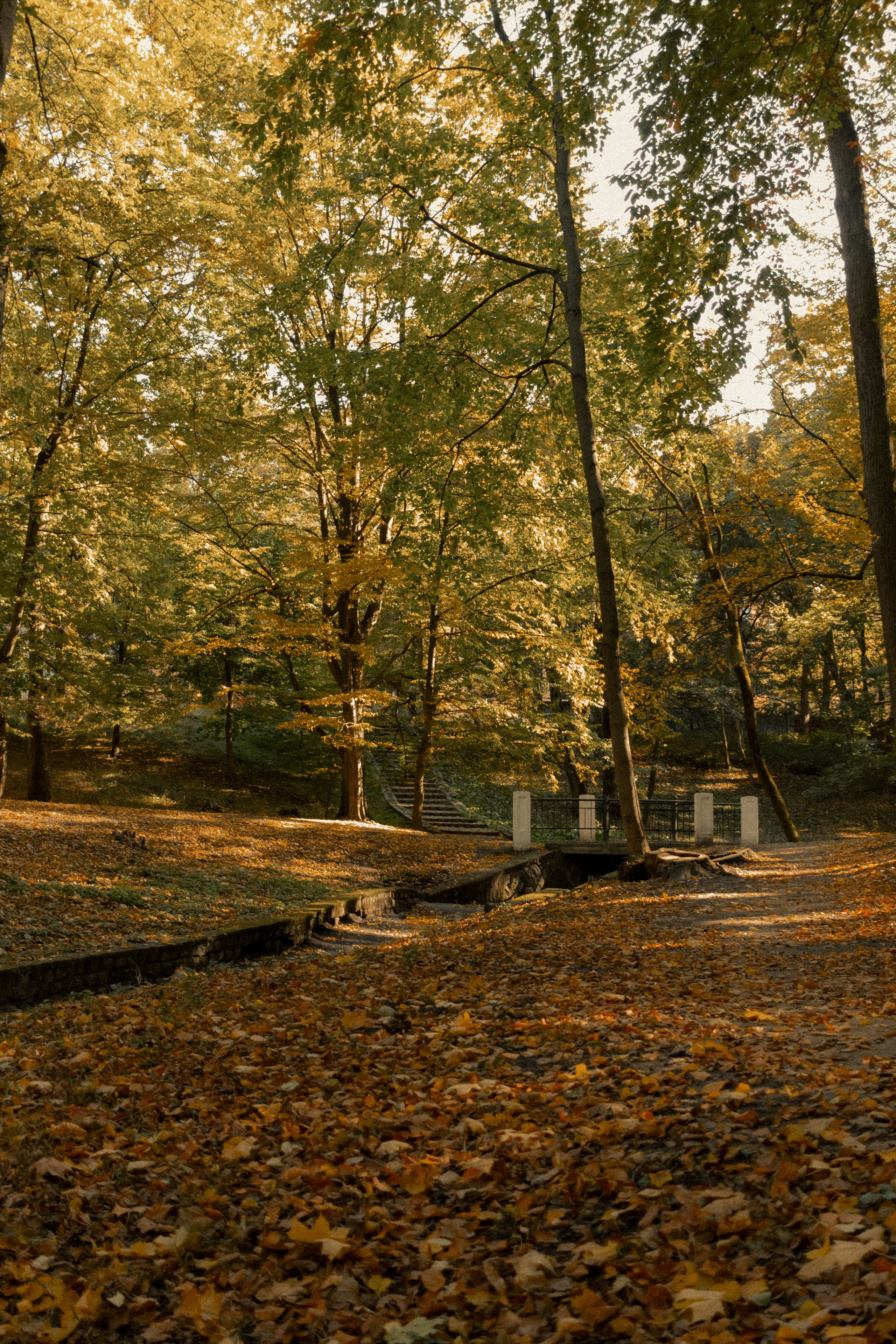 Фотопрогулка в парке Калининград. Портретный фотограф в Калининграде Рита Холодова