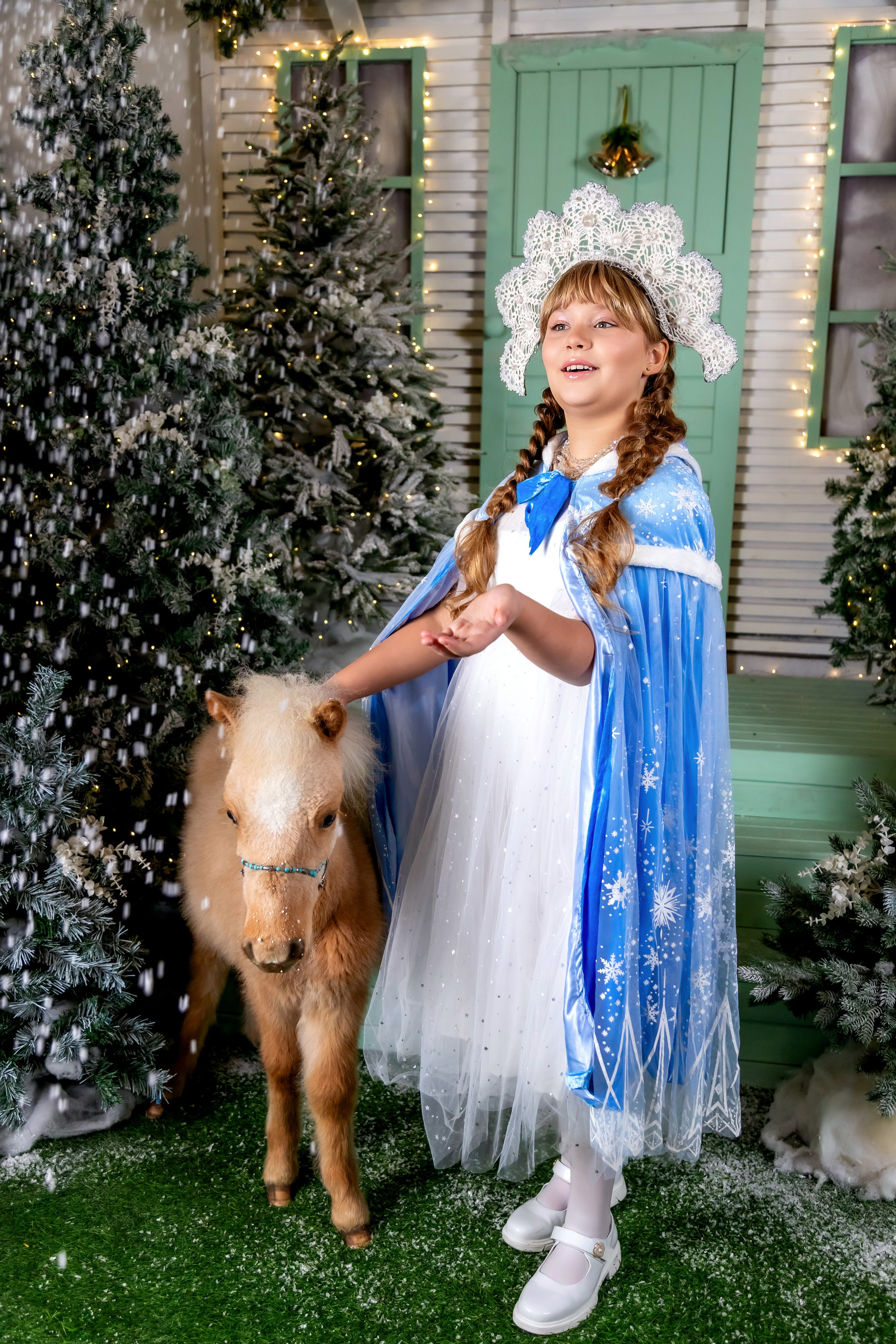 НОВЫЙ ГОД и Рождество в СТУДИЯХ. Фотограф Алина Лебедь