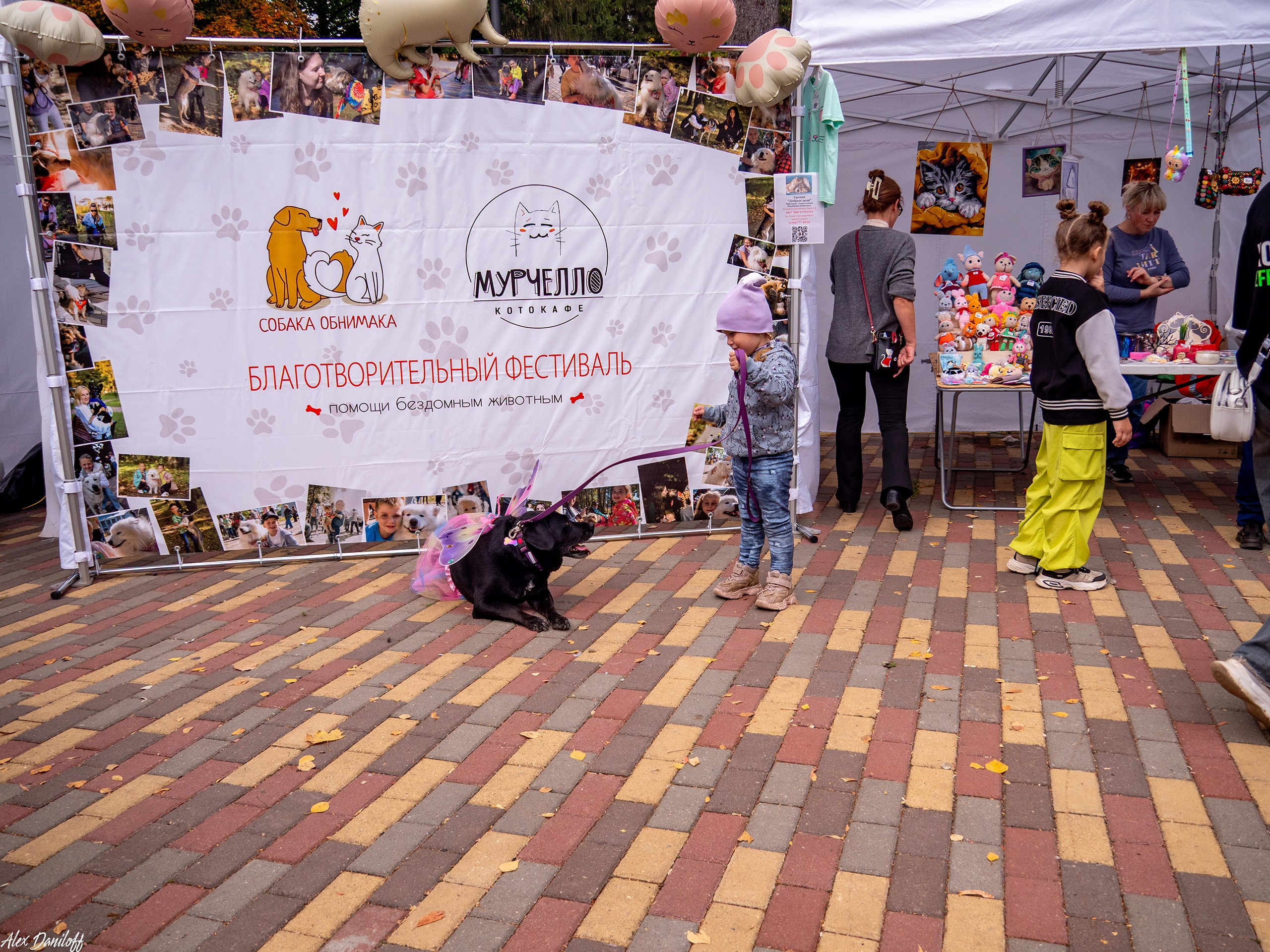 Обнимака 2025. Муром-Инфо. Новости культуры, образования, спорта в городе Муром