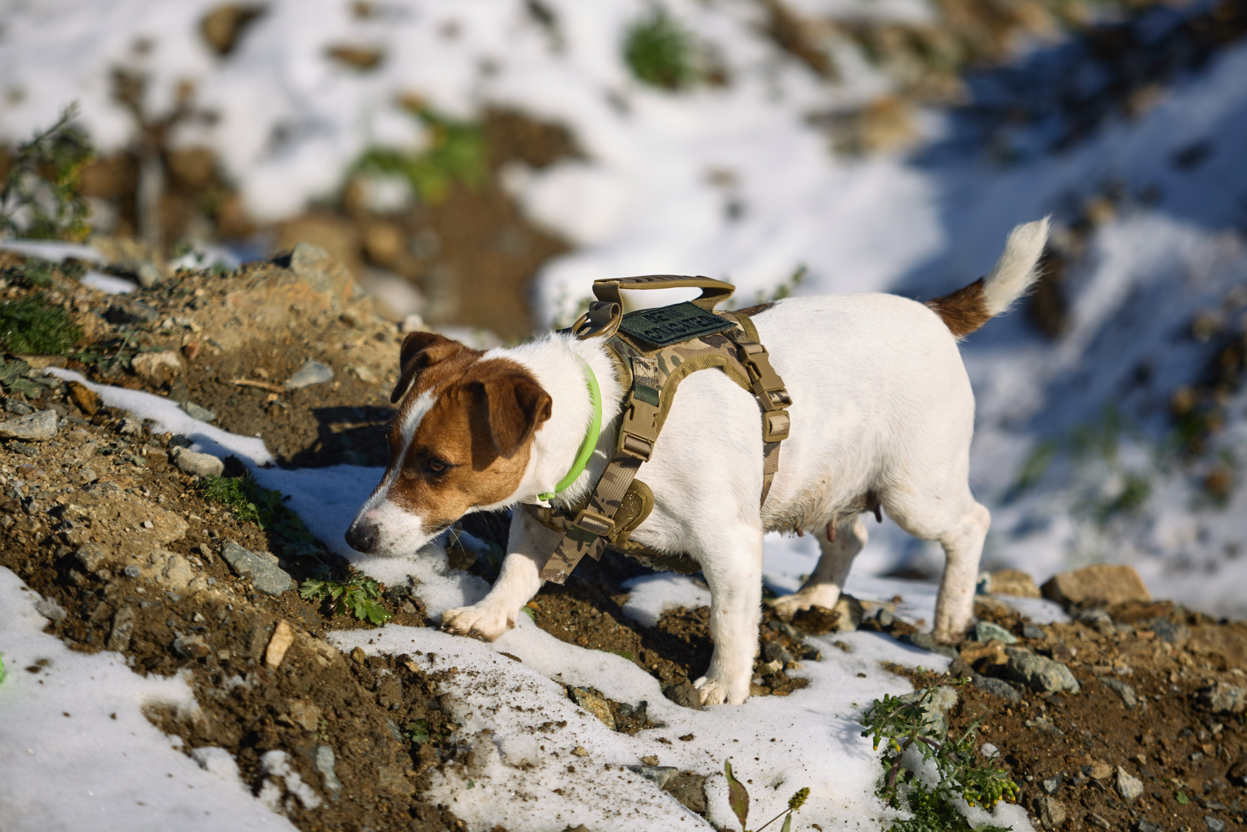 Лети Спасатель. Buyvolenko Andrey