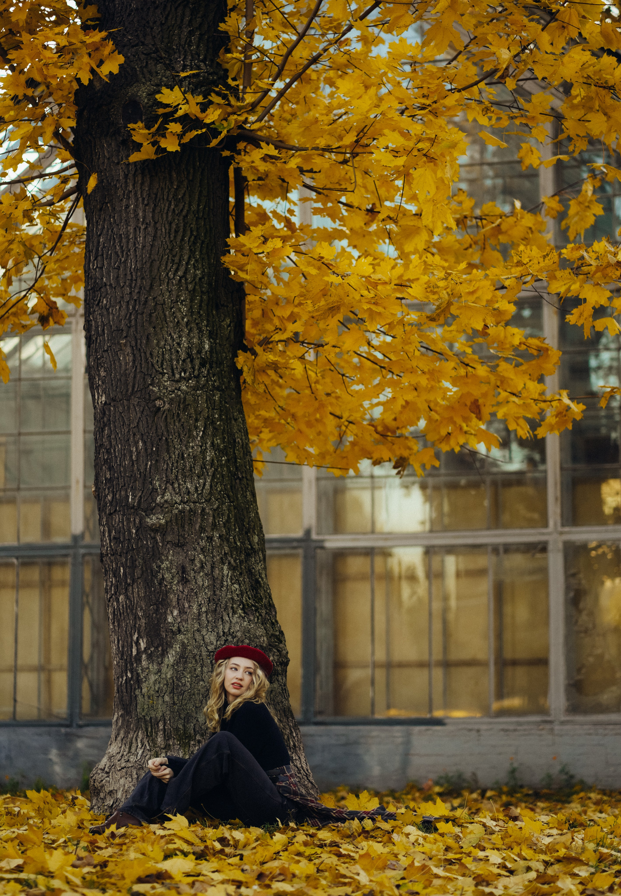 Виолетта. Фотограф г. Санкт-Петербург Александра Катанакова