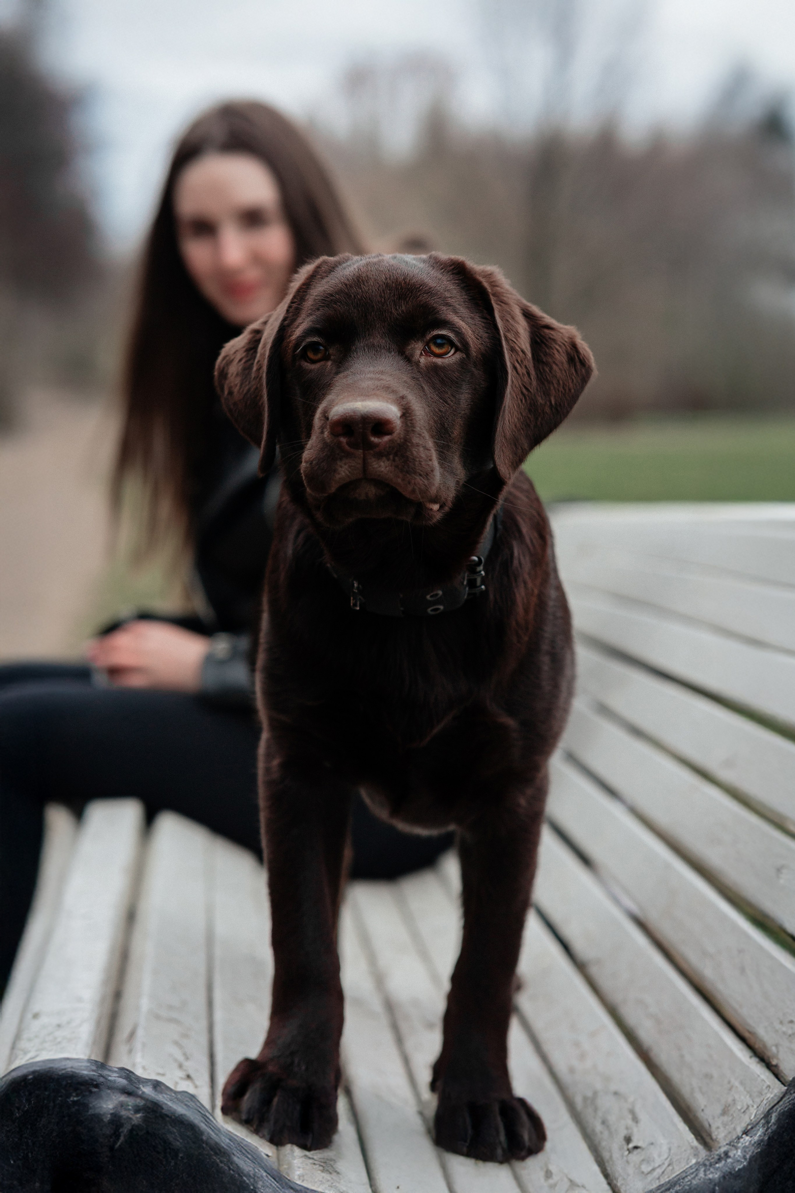 Ника и Ричи. Фотограф в Санкт-Петербурге Алёна Губинская