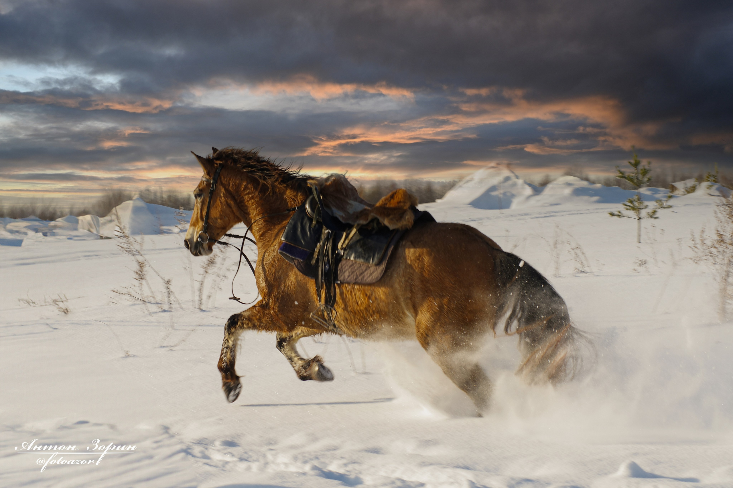 Конная охота. Семейный и детский фотограф Антон Зорин
