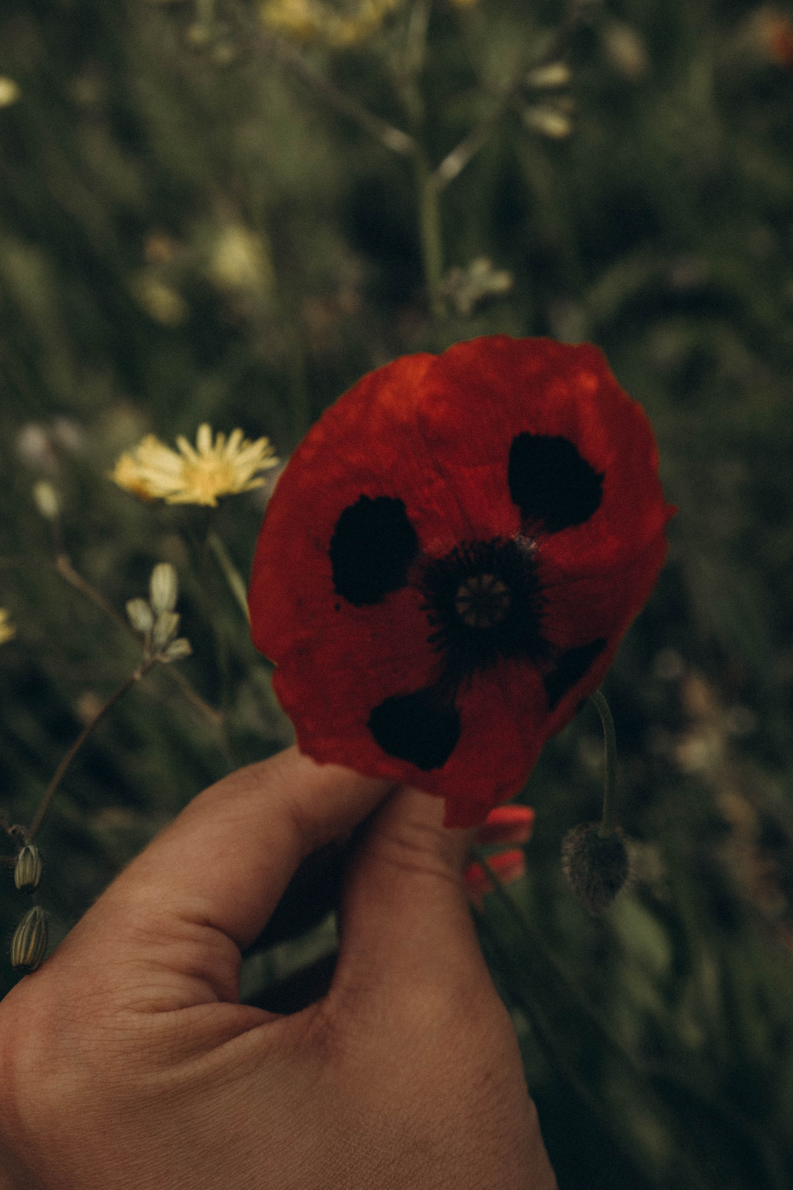 Путешествие в Дагестане. Профессиональный фотограф, Санкт-Петербург — Виктория Богомолова