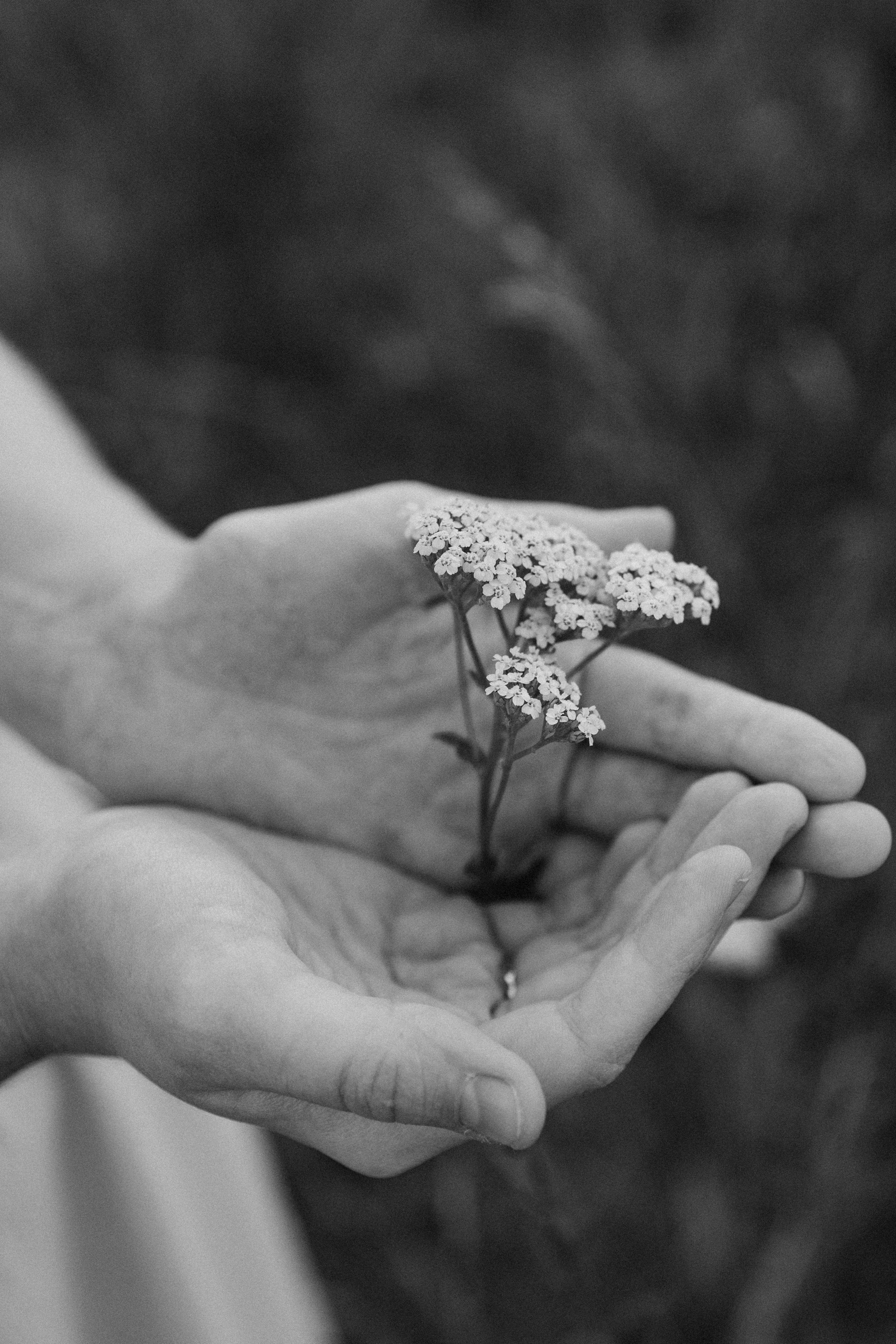История Надежды и Андрея. Семейный и детский фотограф в Тюмени Вика Алленова