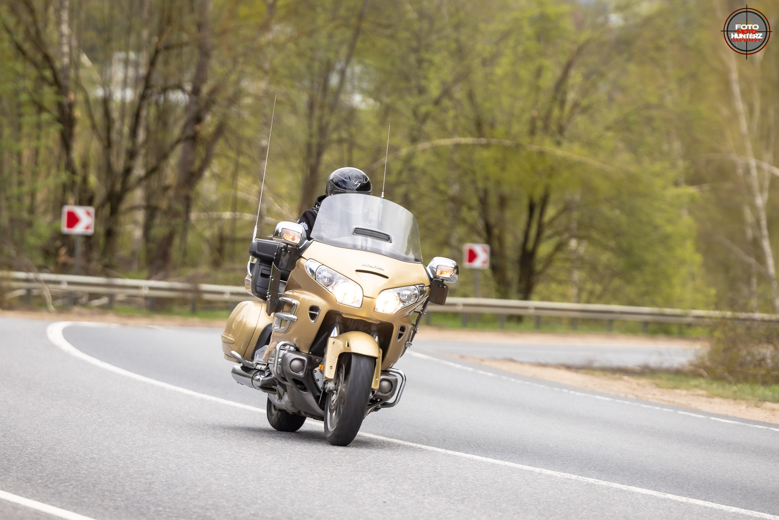 Первое Сафари в 2025 г. на Рогачевском ш. Фотограф Владимир Охрименко