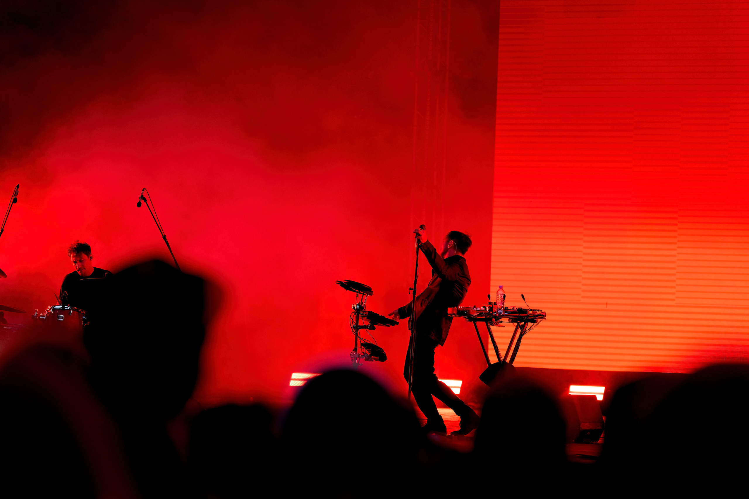 ДЕЛЬФИН / ЗЕЛЕНЫЙ ТЕАТР / 09.06.2024. Ekhovanov | фото- видеосъемка