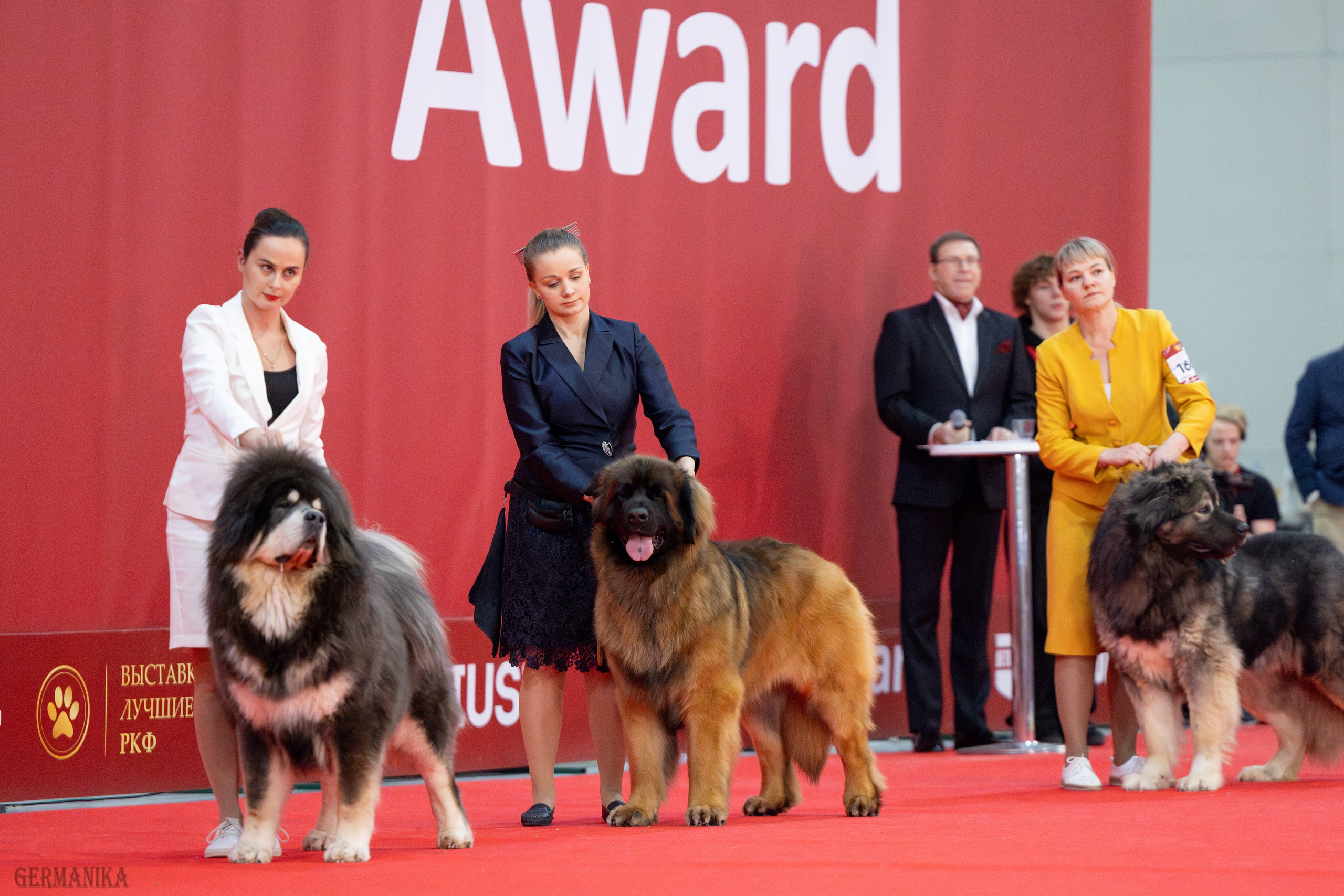 Лучшие Собаки России 17-18.02.2024. Фотограф-анималист Юлия Германика