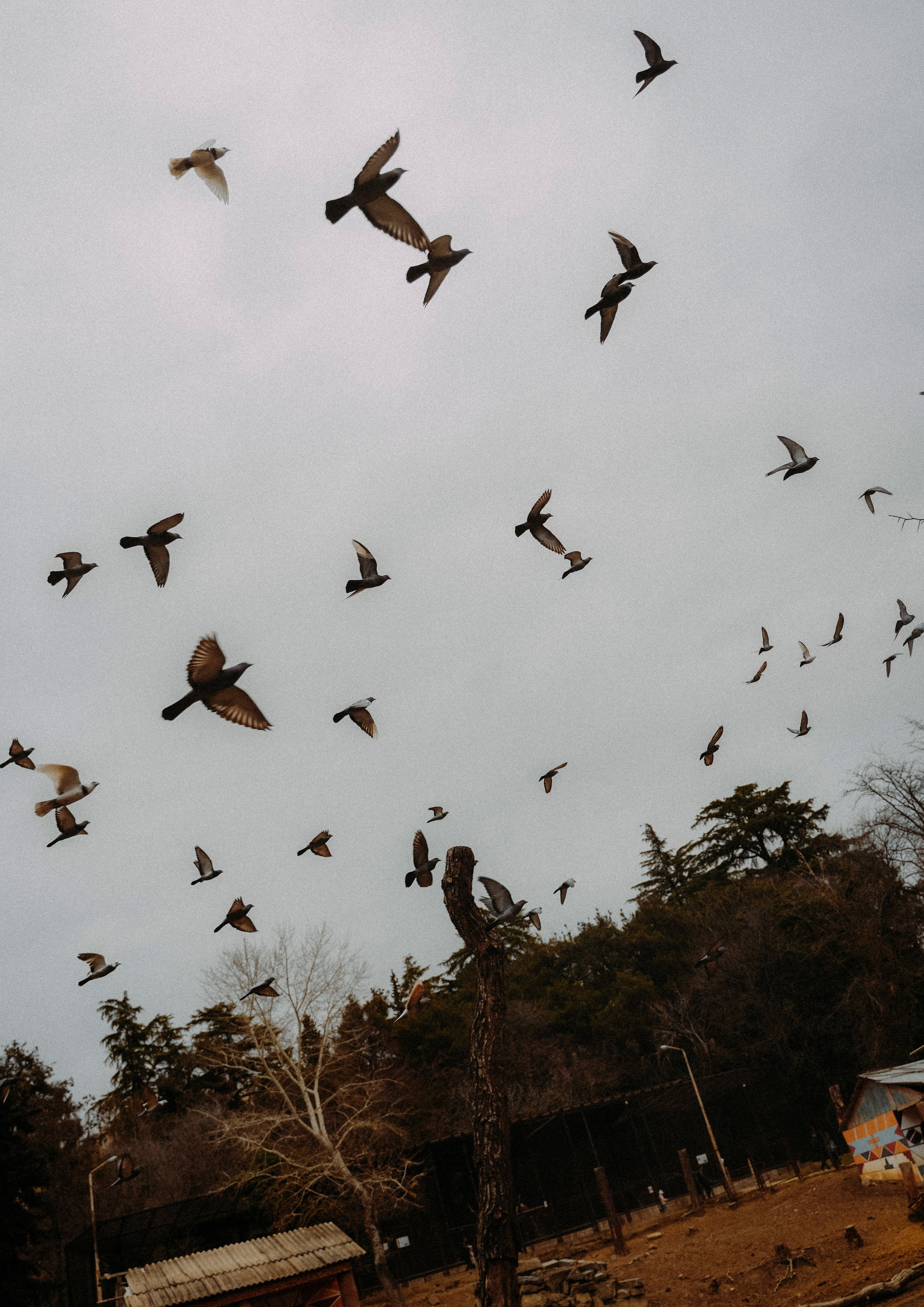 ТБИЛИСИ 2023-2024. Стрит-фотография, полная абсурда, идиотизма и красоты