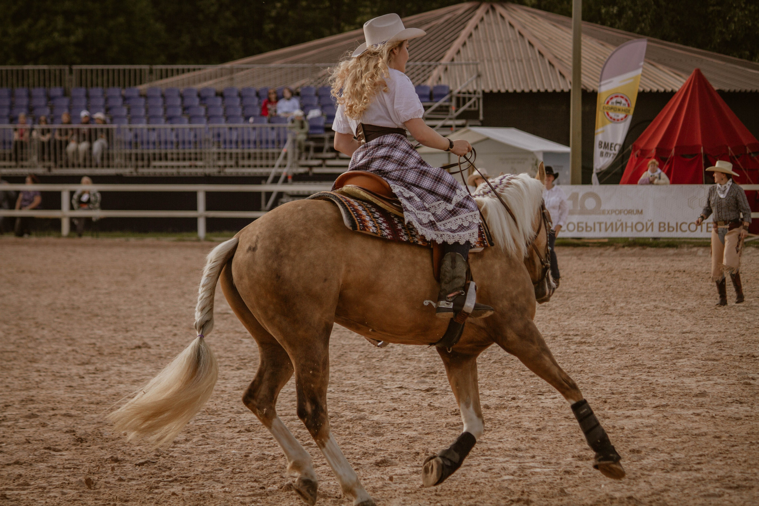 ИППОСФЕРА — Международная конная выставка. Создадим шедевр? Виталина и её фотоискусство