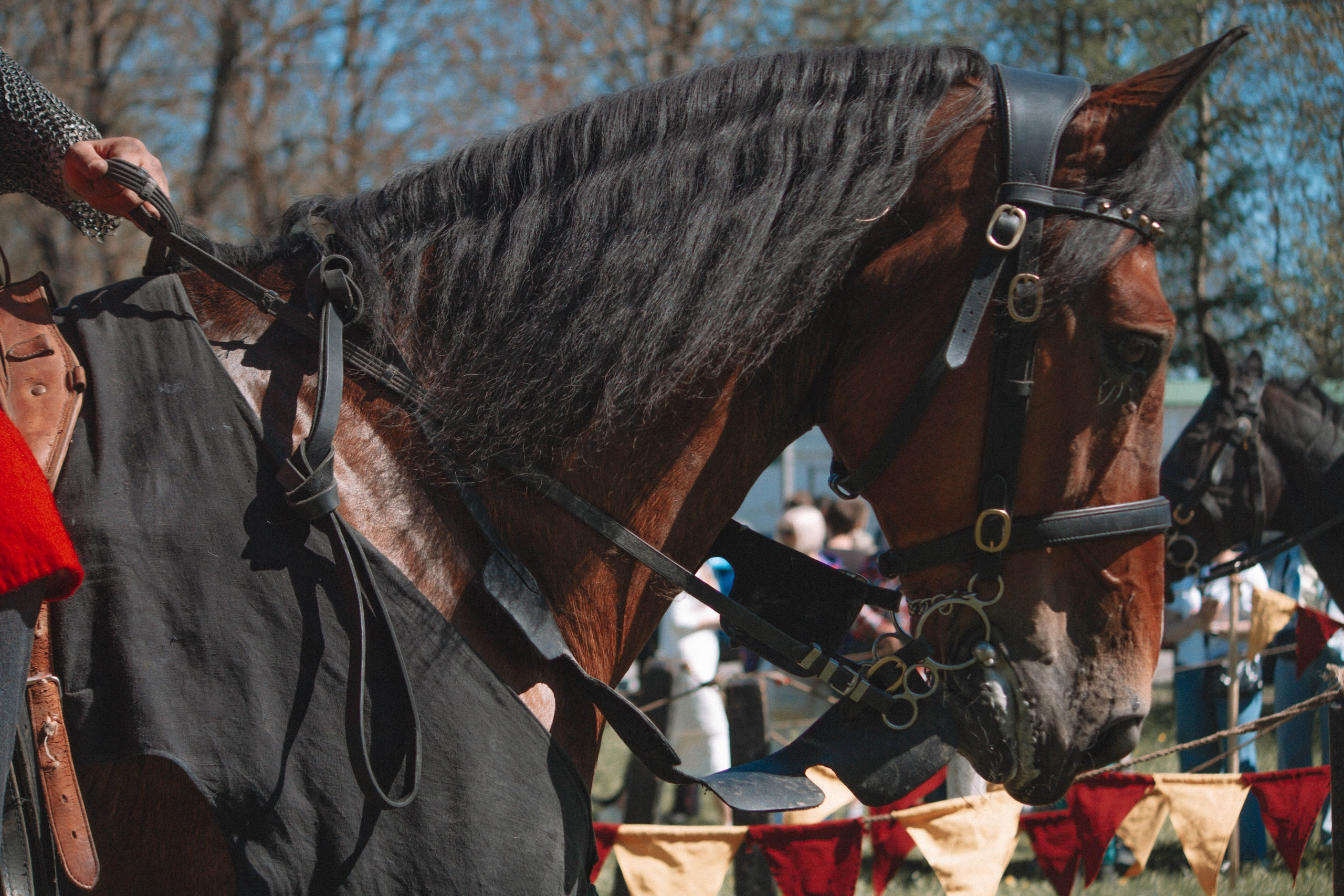 СТАРАЯ ЛАДОГА — Историко-культурный фестиваль. Создадим шедевр? Виталина и её фотоискусство
