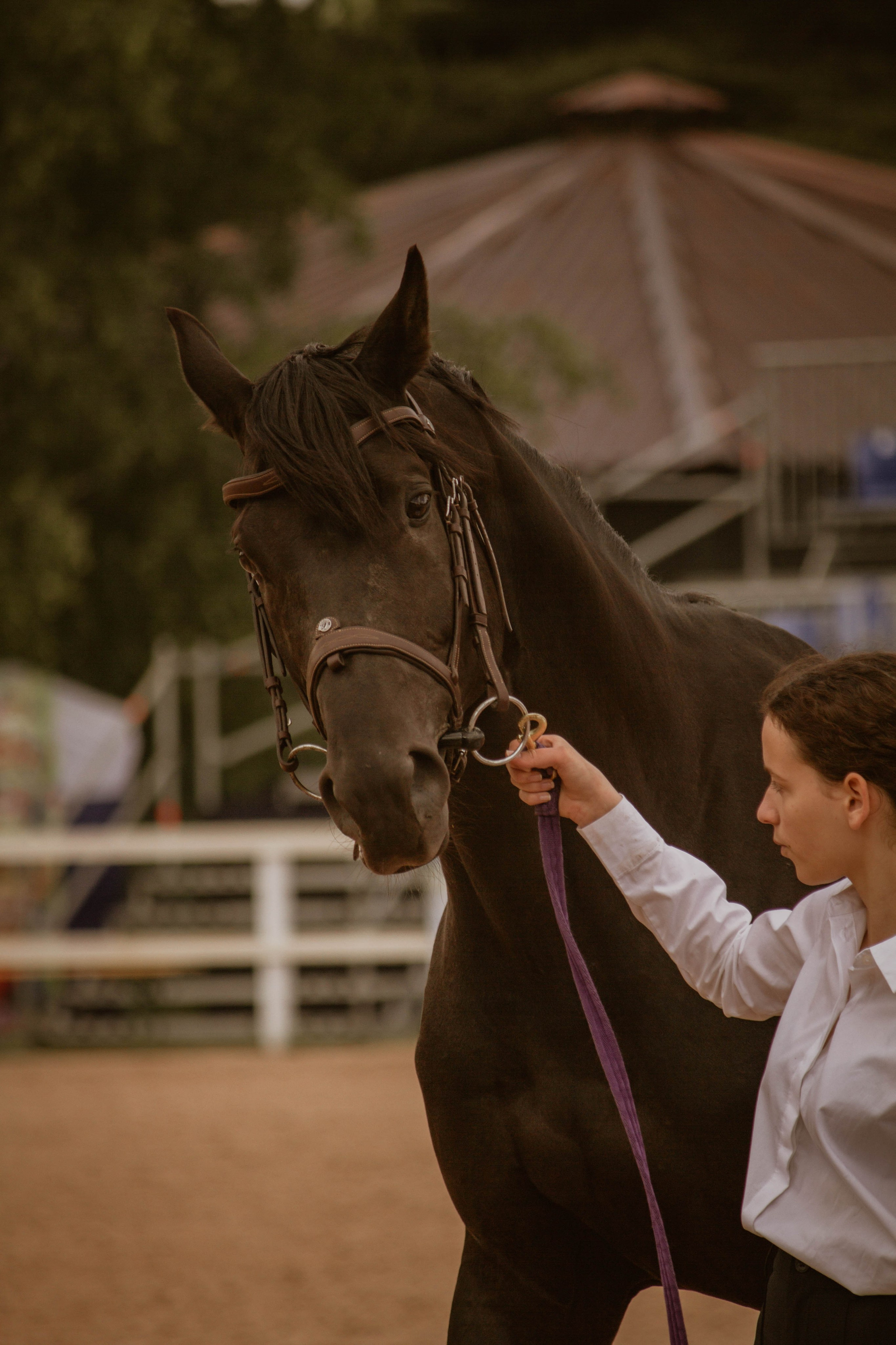 ИППОСФЕРА — Международная конная выставка. Создадим шедевр? Виталина и её фотоискусство