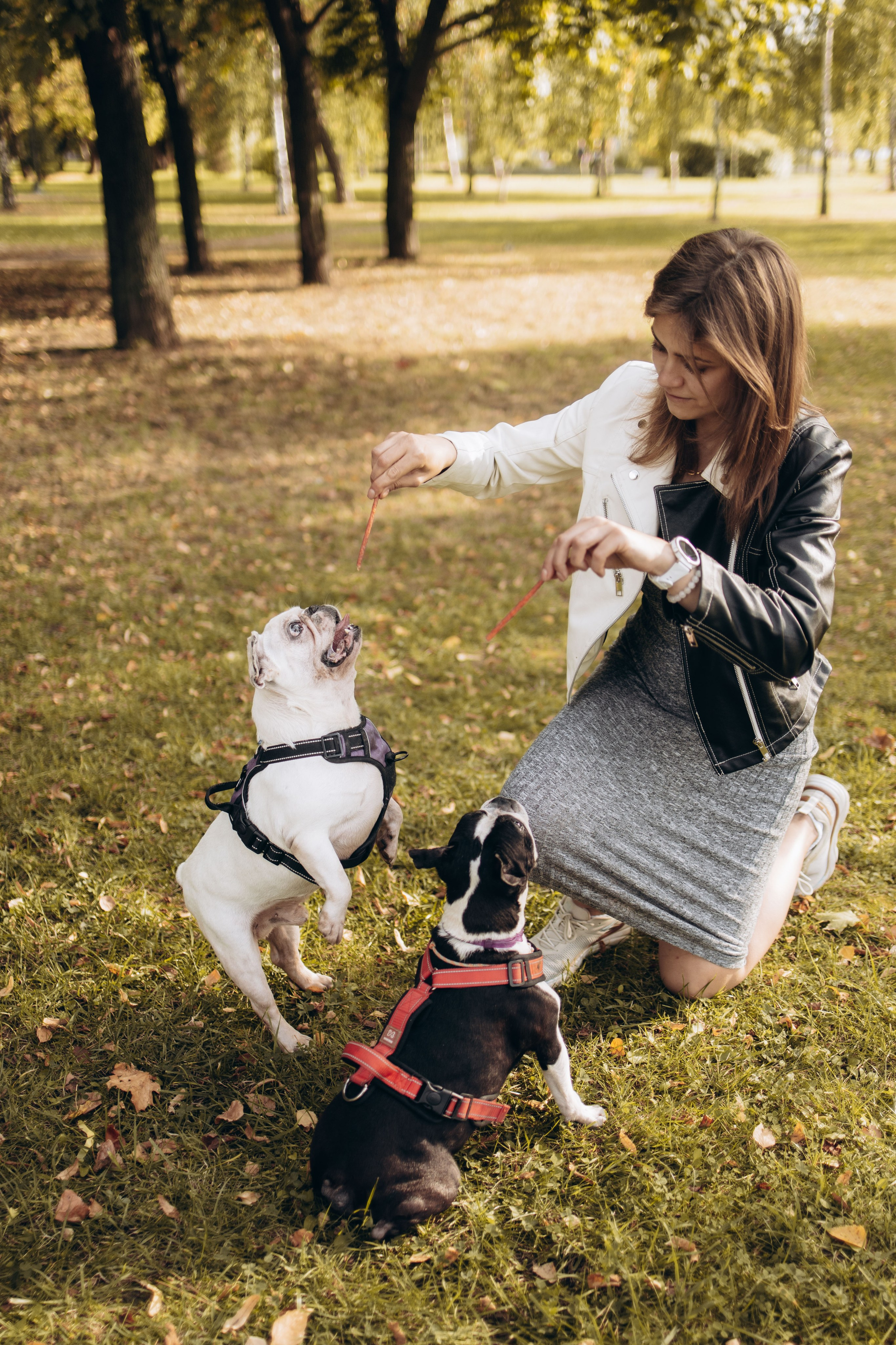 Оля и бульдоги