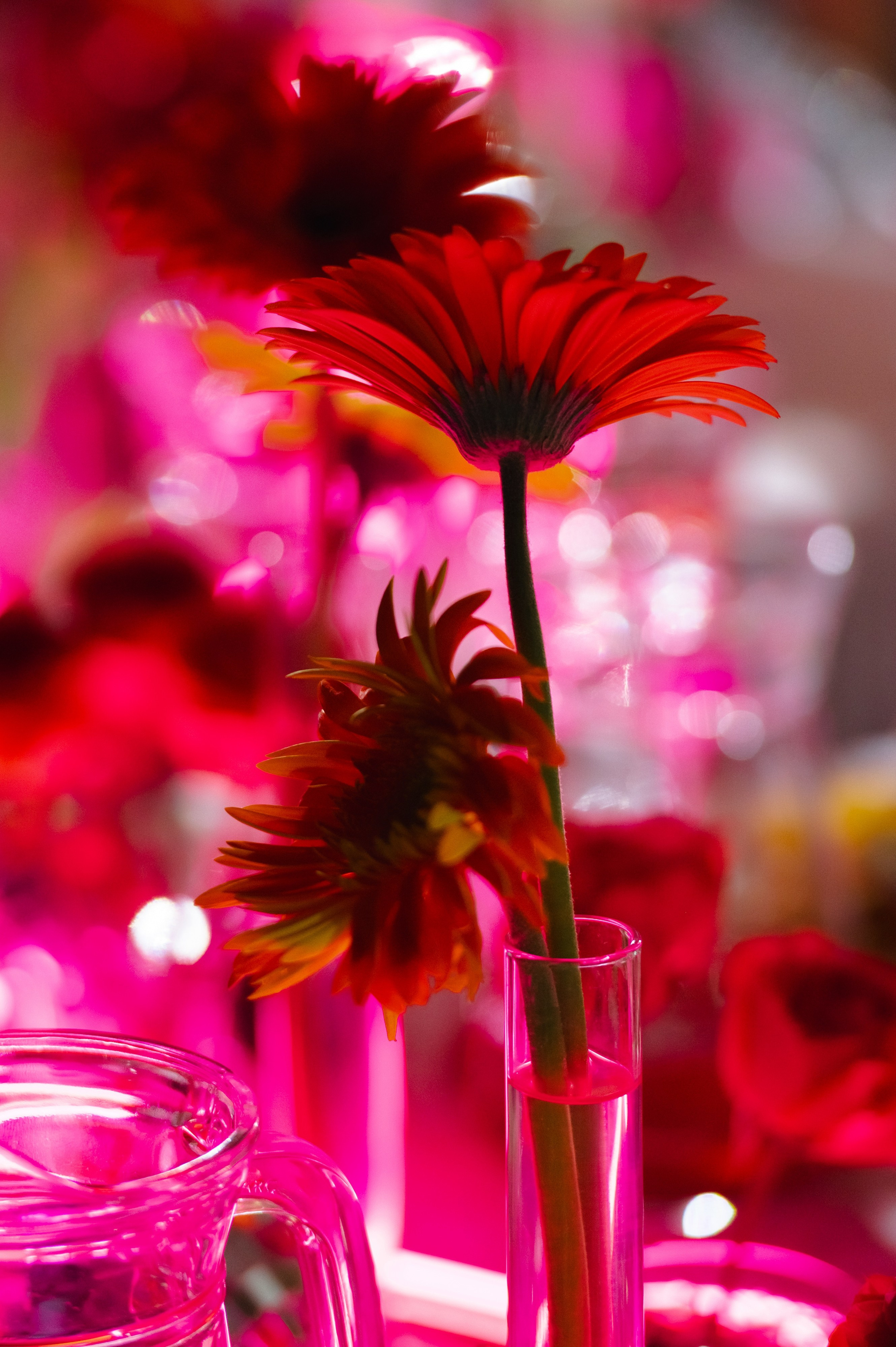 PER ASPERA AD ASTRA. Свадебный фотограф Ростов-на- Дону, Краснодар, Москва