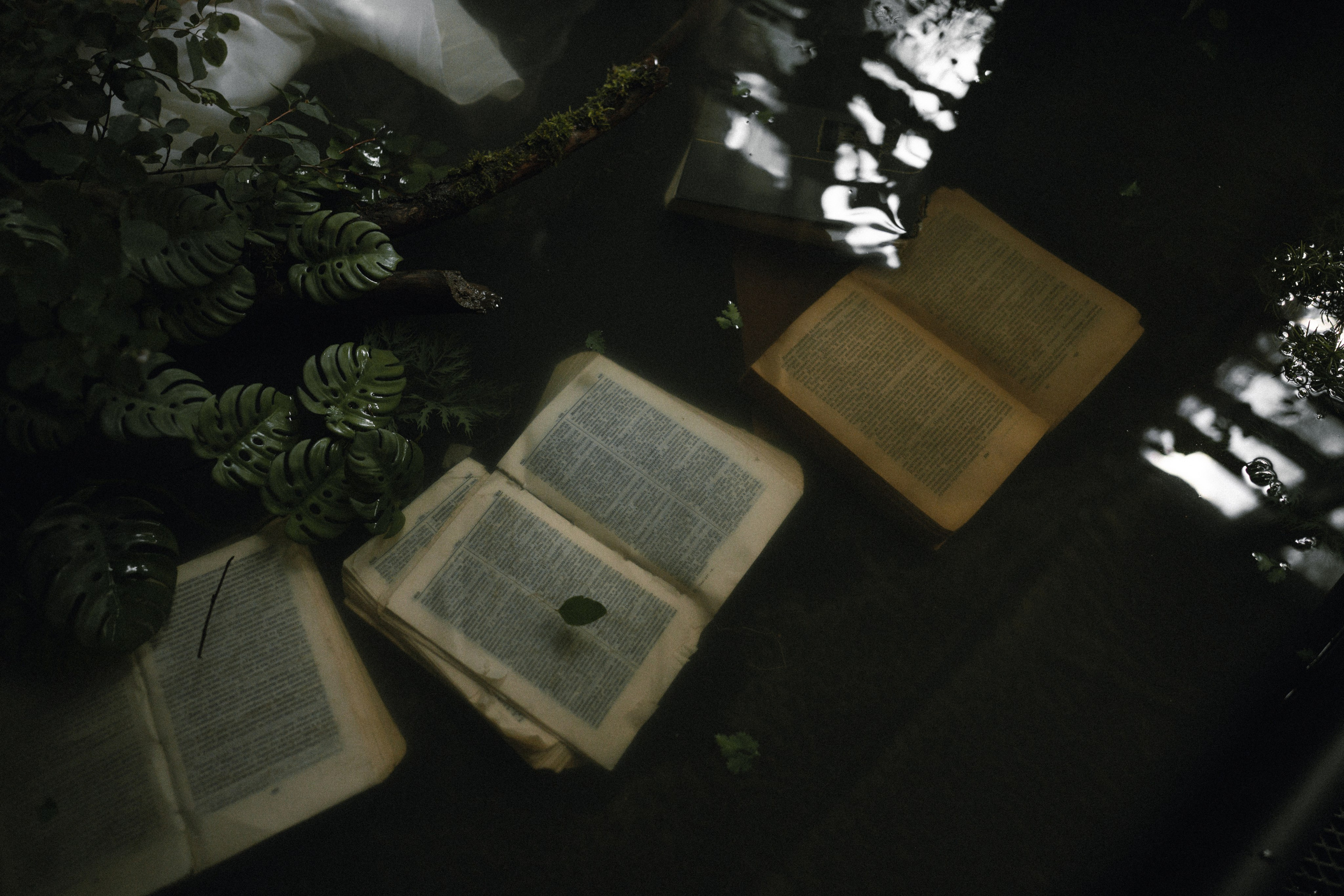 The flooded house. Фотограф в Москве Hellga Raf Хельга Раф