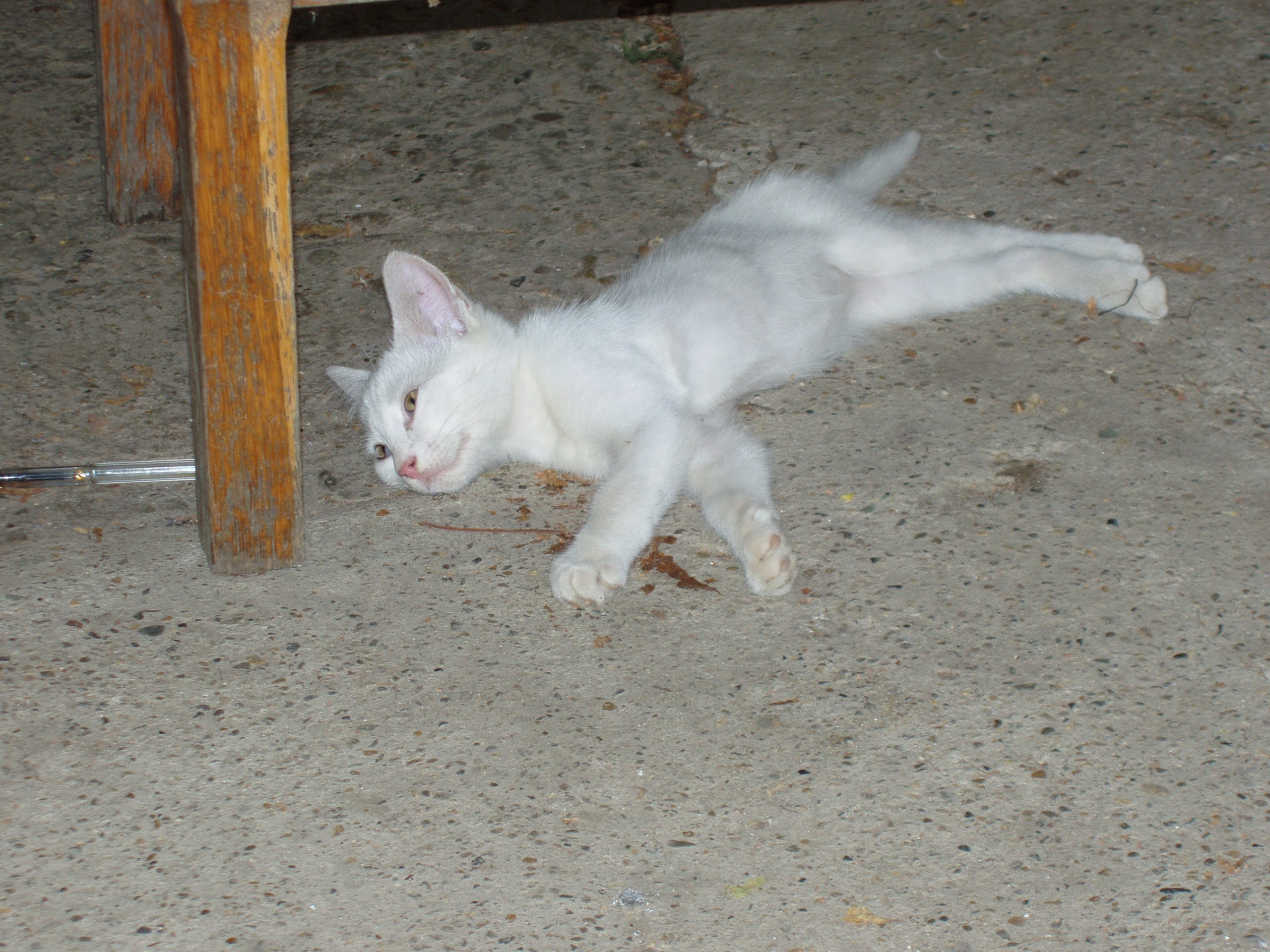 Отпуск 20.07-17.08. Семейный, Свадебный фотограф СПБ Питер— Романова Екатерина