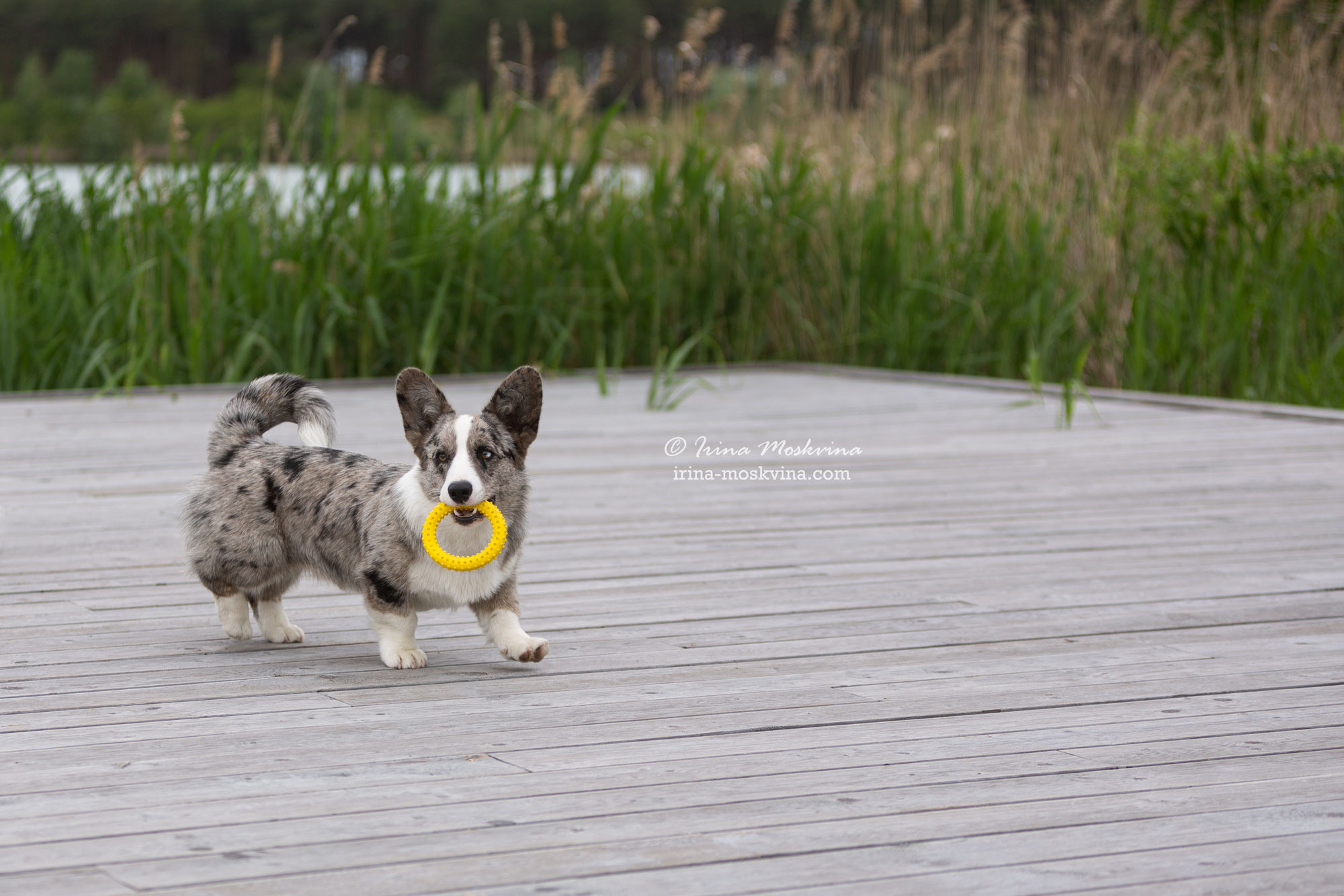 Фотосессия кардиганов Виски и Колы | Белгород | май 2022. Ирина Москвина | фотограф | Москва